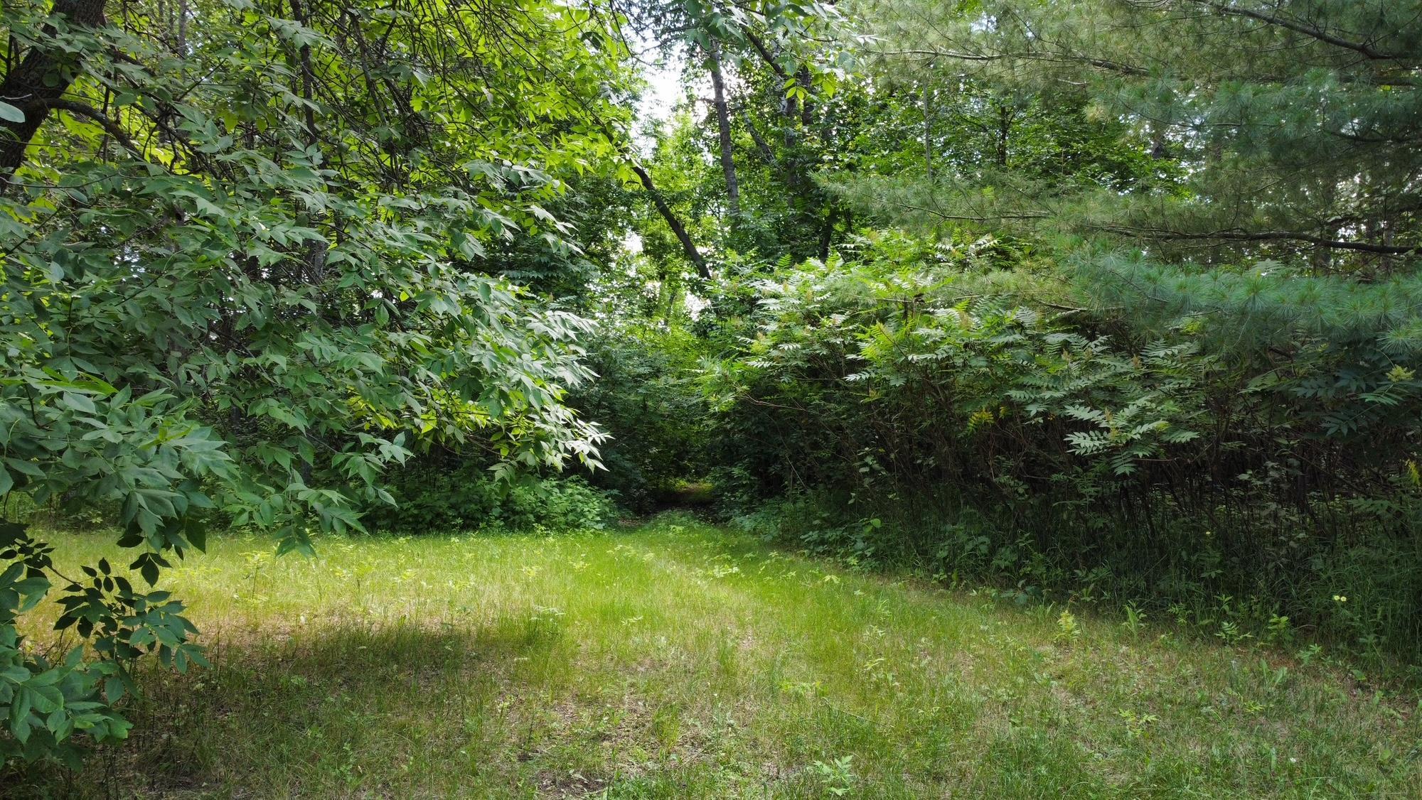 land for sale at TBD W 2nd Street in Pillager, MN (photo 15 of 20)