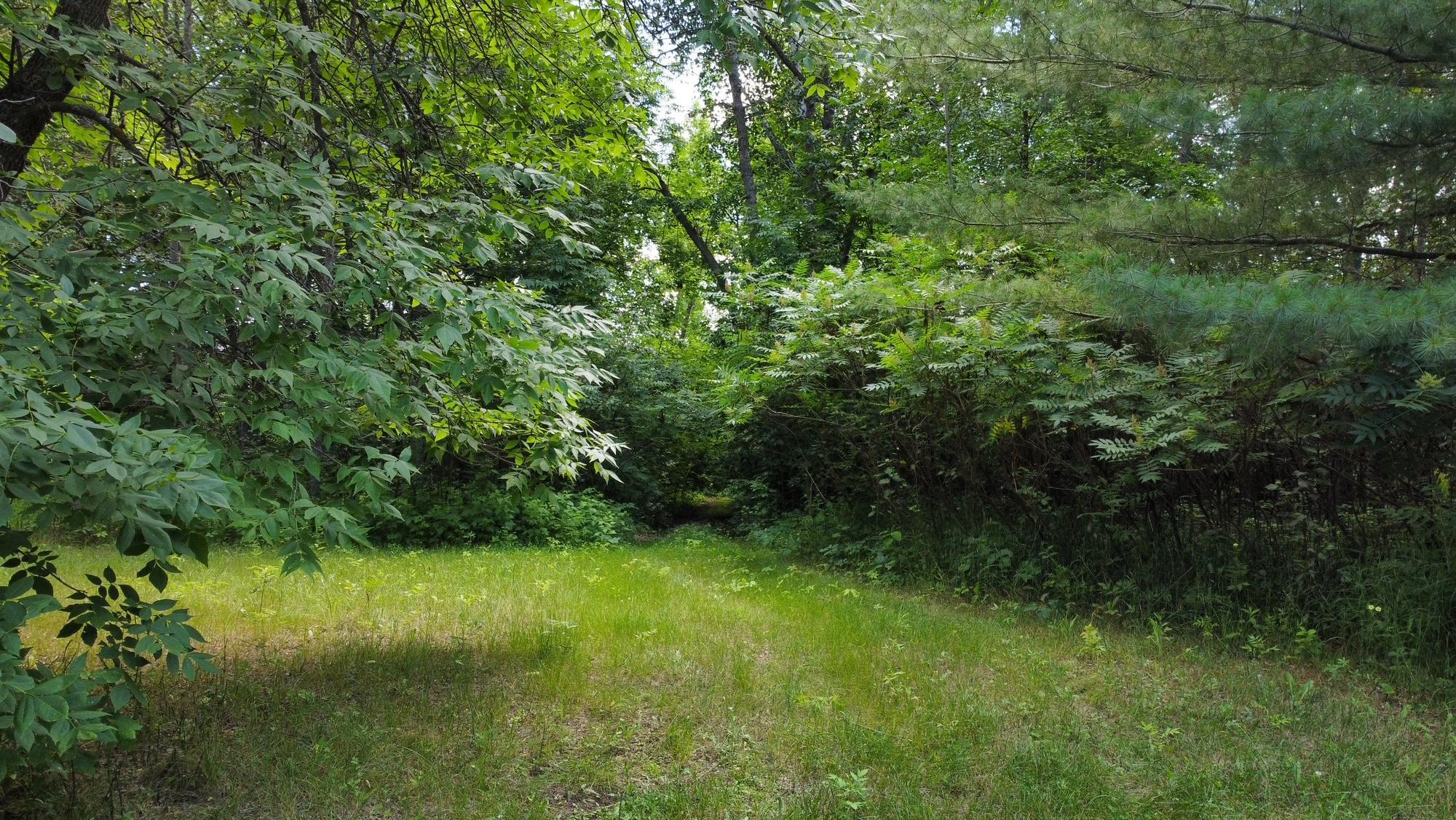 land for sale at TBD W 2nd Street in Pillager, MN (photo 16 of 20)
