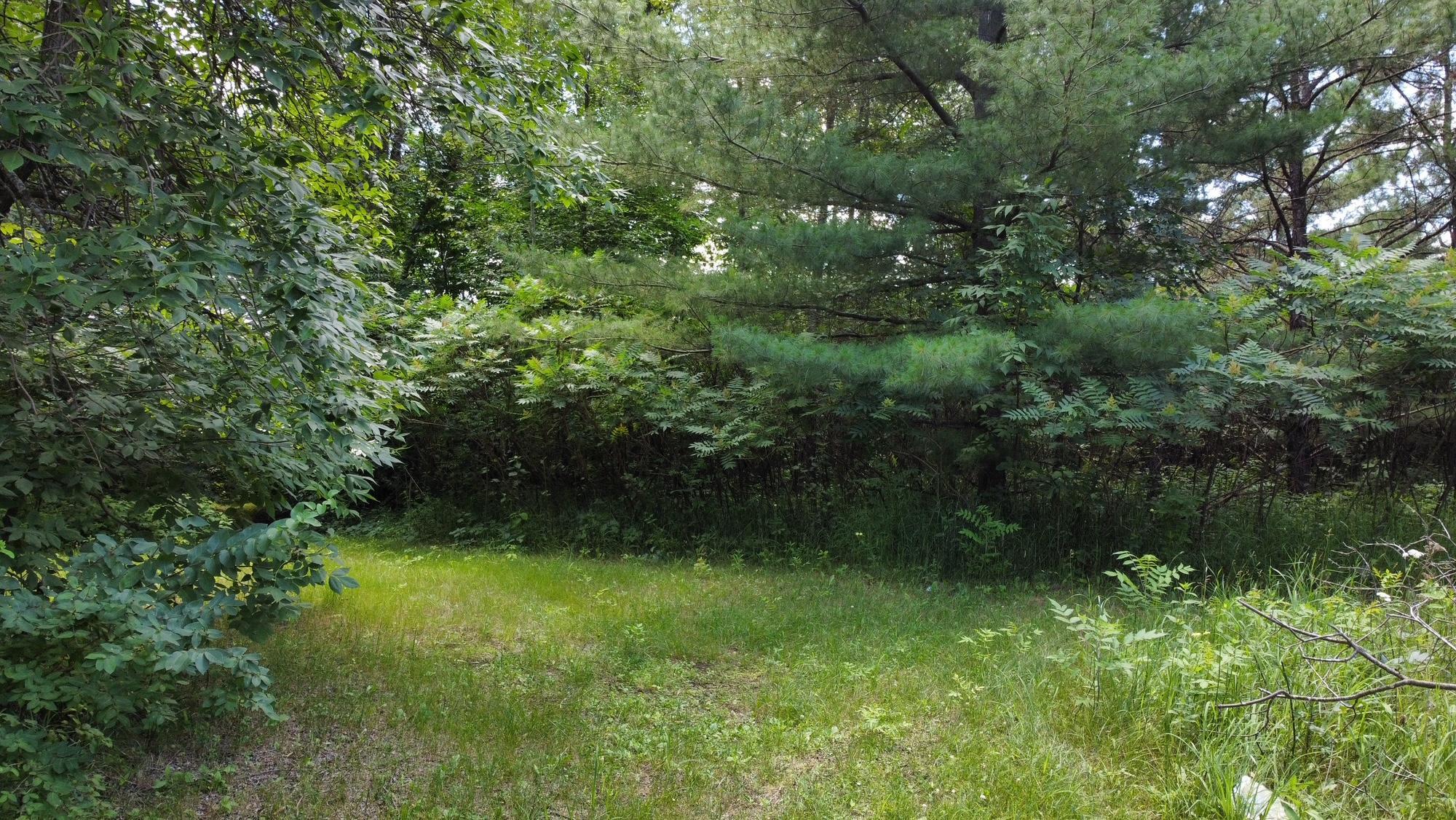 land for sale at TBD W 2nd Street in Pillager, MN (photo 17 of 20)