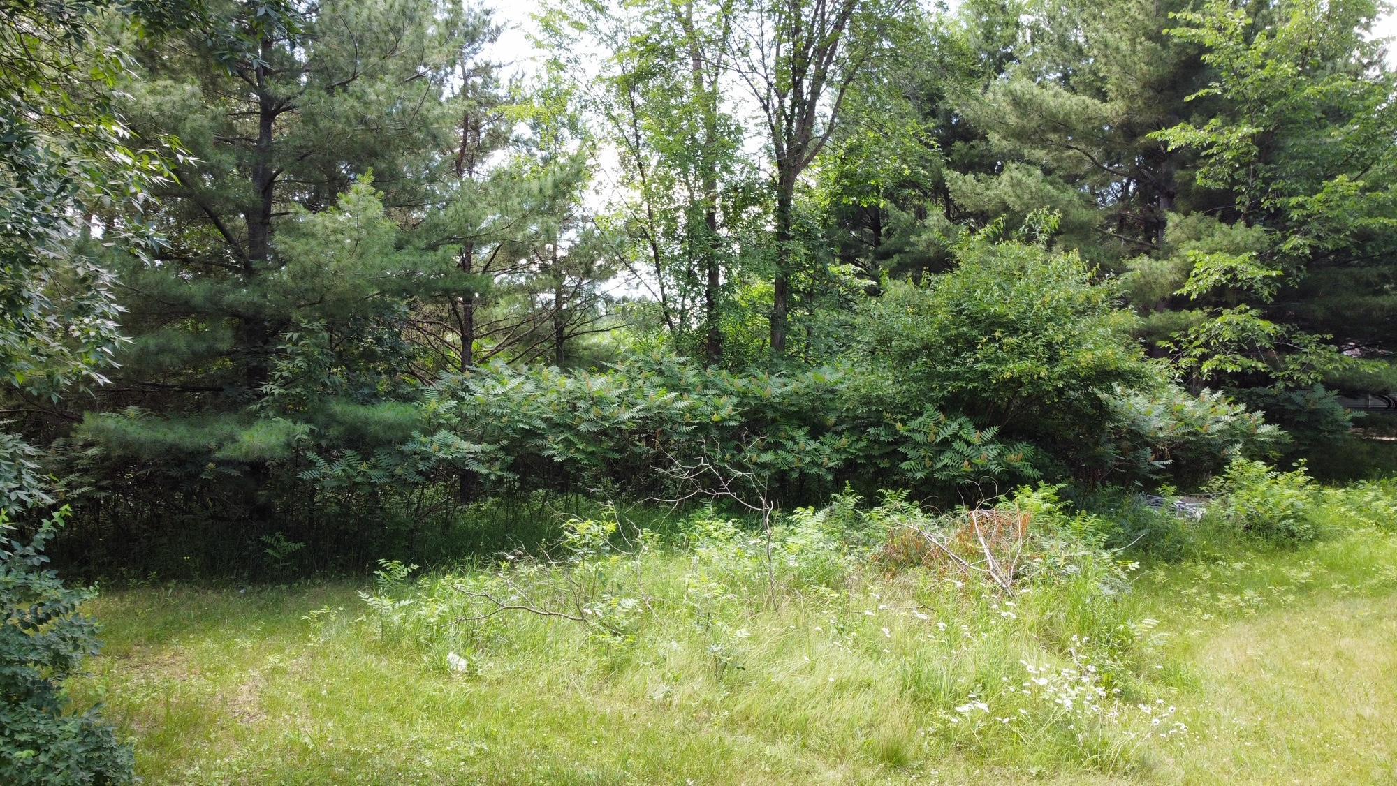 land for sale at TBD W 2nd Street in Pillager, MN (photo 18 of 20)