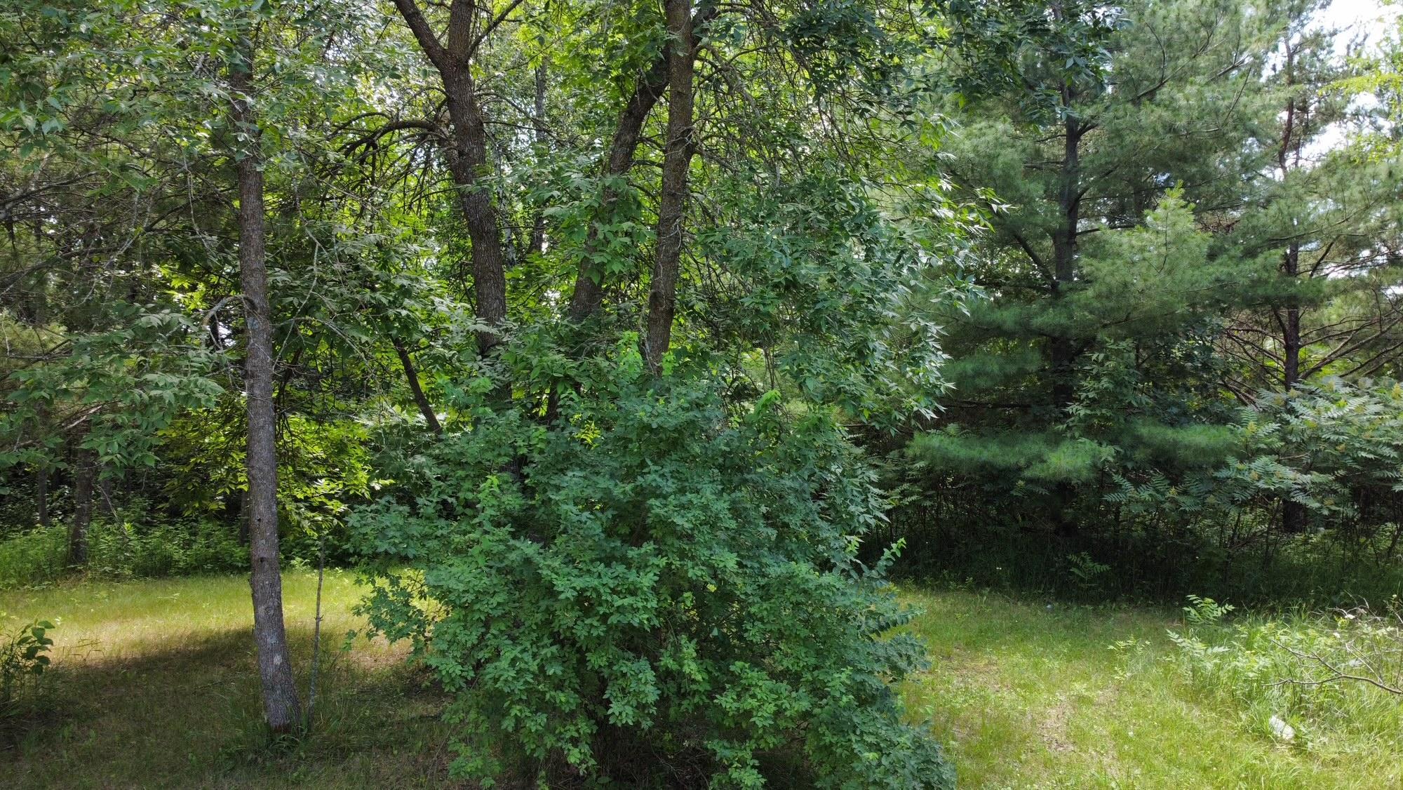 land for sale at TBD W 2nd Street in Pillager, MN (photo 19 of 20)