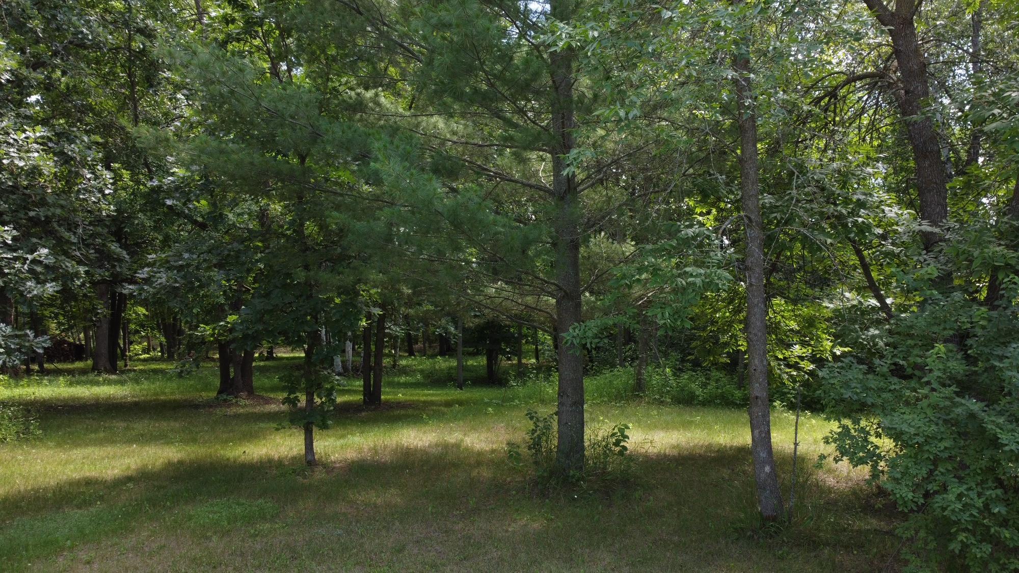 land for sale at TBD W 2nd Street in Pillager, MN (photo 20 of 20)
