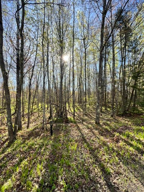 land for sale at TBD Baich Dr in Coleraine, MN (photo 11 of 17)