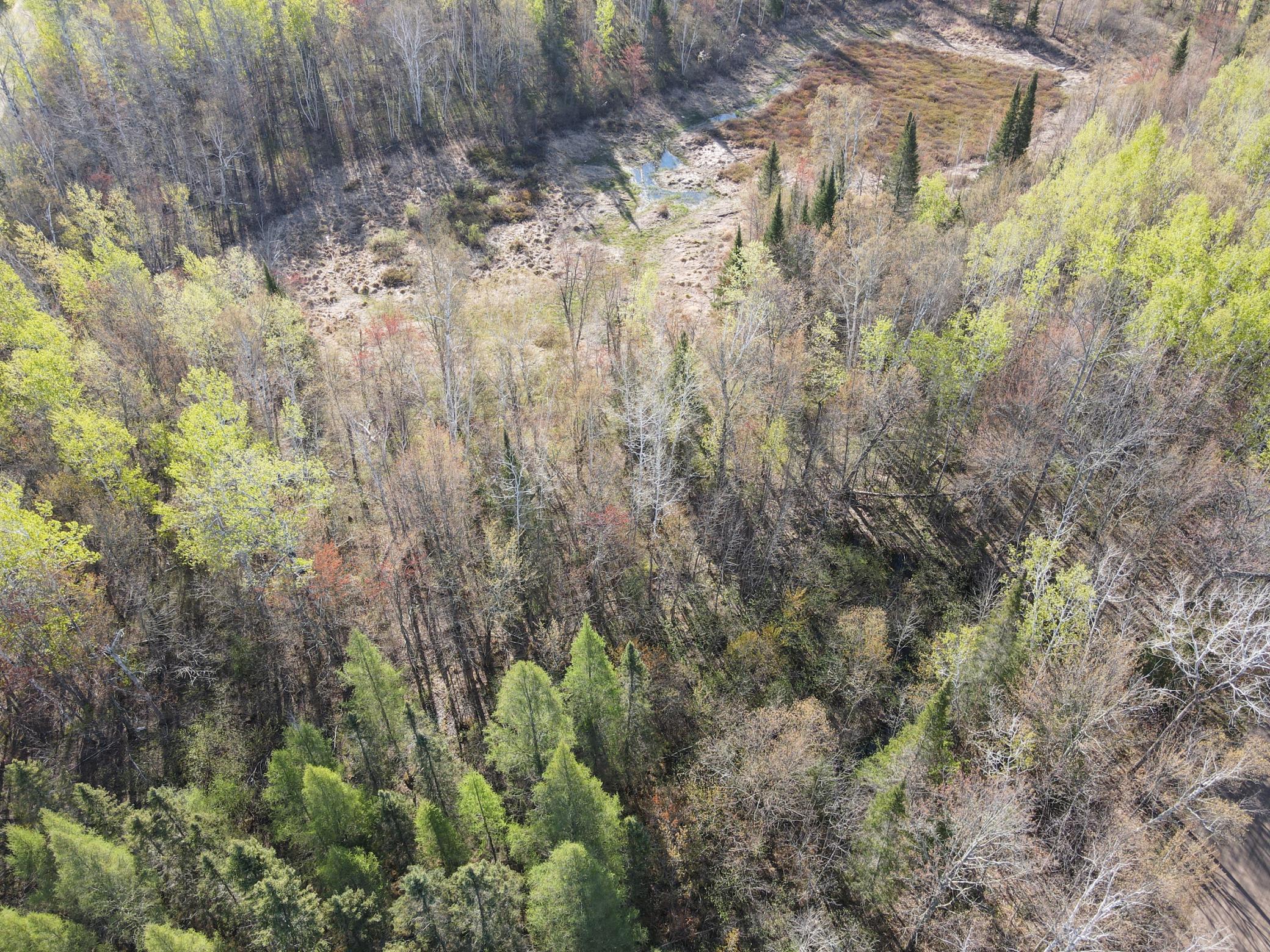 land for sale at TBD Baich Dr in Coleraine, MN (photo 12 of 17)