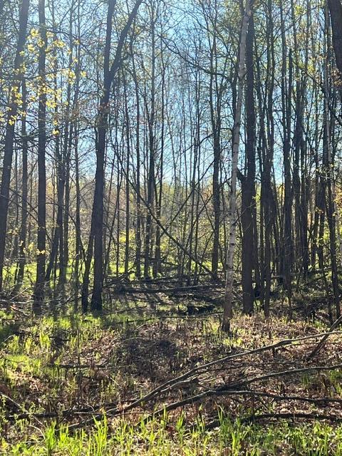 land for sale at TBD Baich Dr in Coleraine, MN (photo 13 of 17)