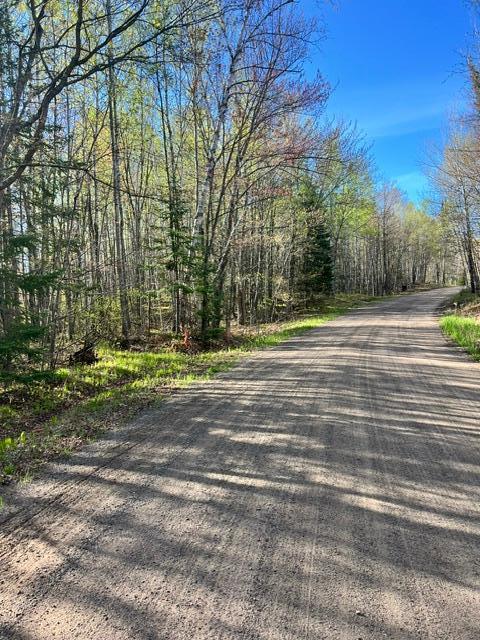 land for sale at TBD Baich Dr in Coleraine, MN (photo 15 of 17)