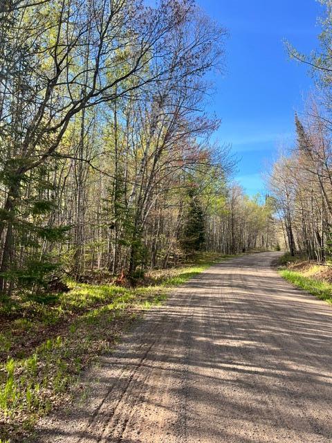 land for sale at TBD Baich Dr in Coleraine, MN (photo 5 of 17)