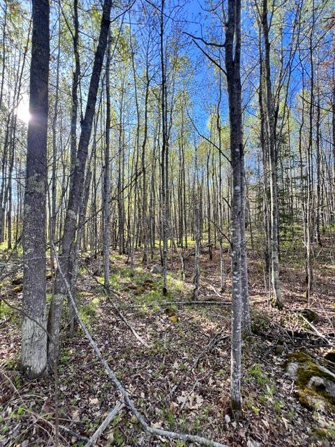 land for sale at 101 Baich Drive in Coleraine, MN (photo 14 of 19)