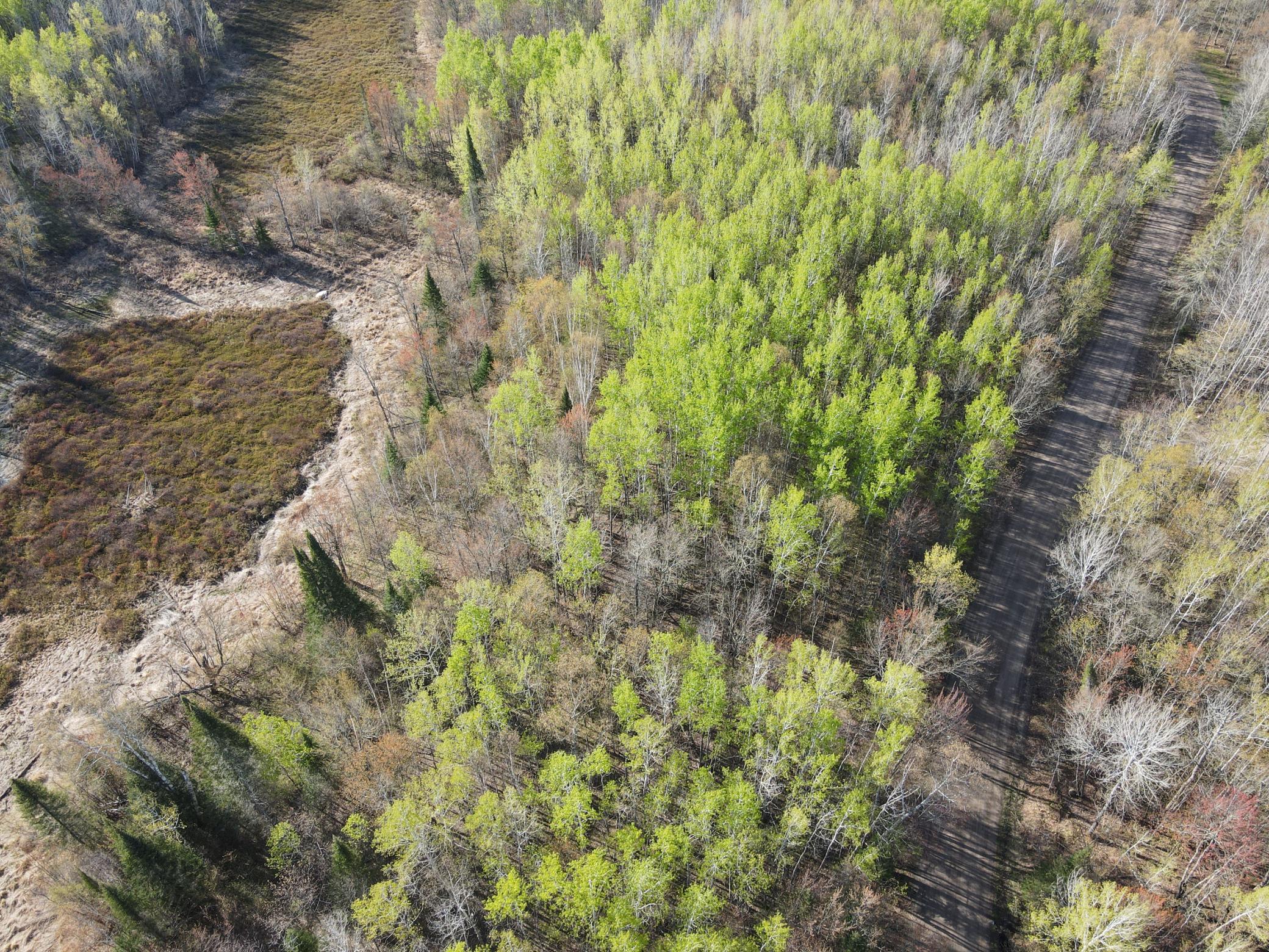 land for sale at 101 Baich Drive in Coleraine, MN (photo 16 of 19)