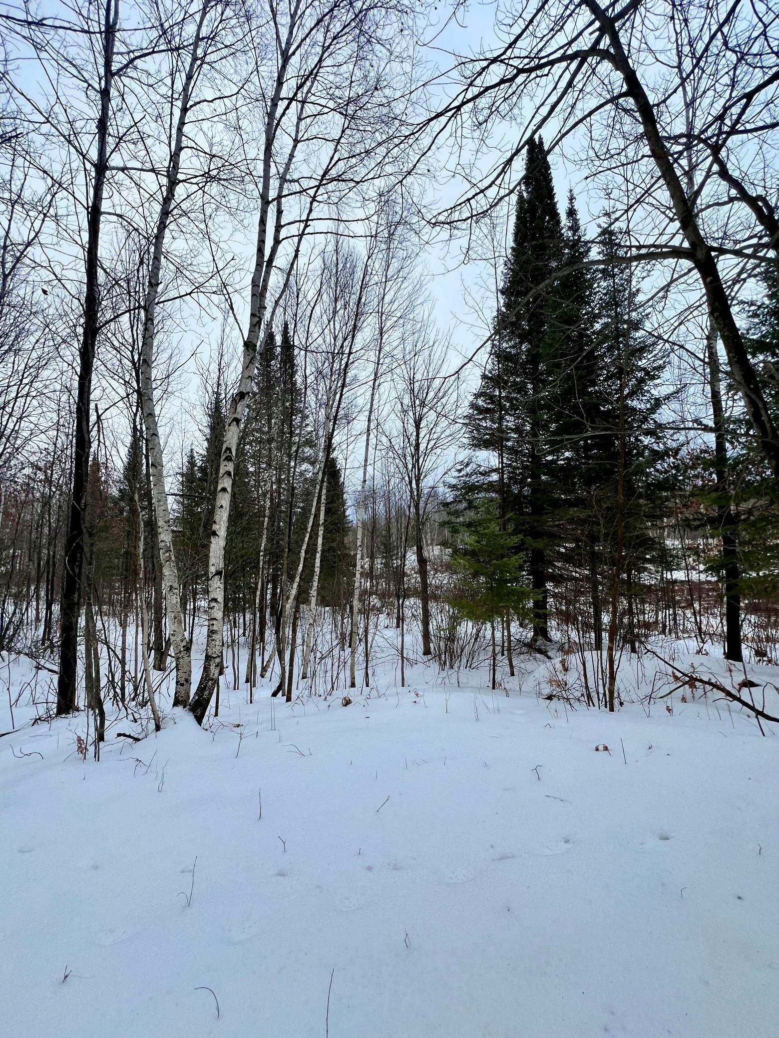 land for sale at 101 Baich Drive in Coleraine, MN (photo 4 of 19)