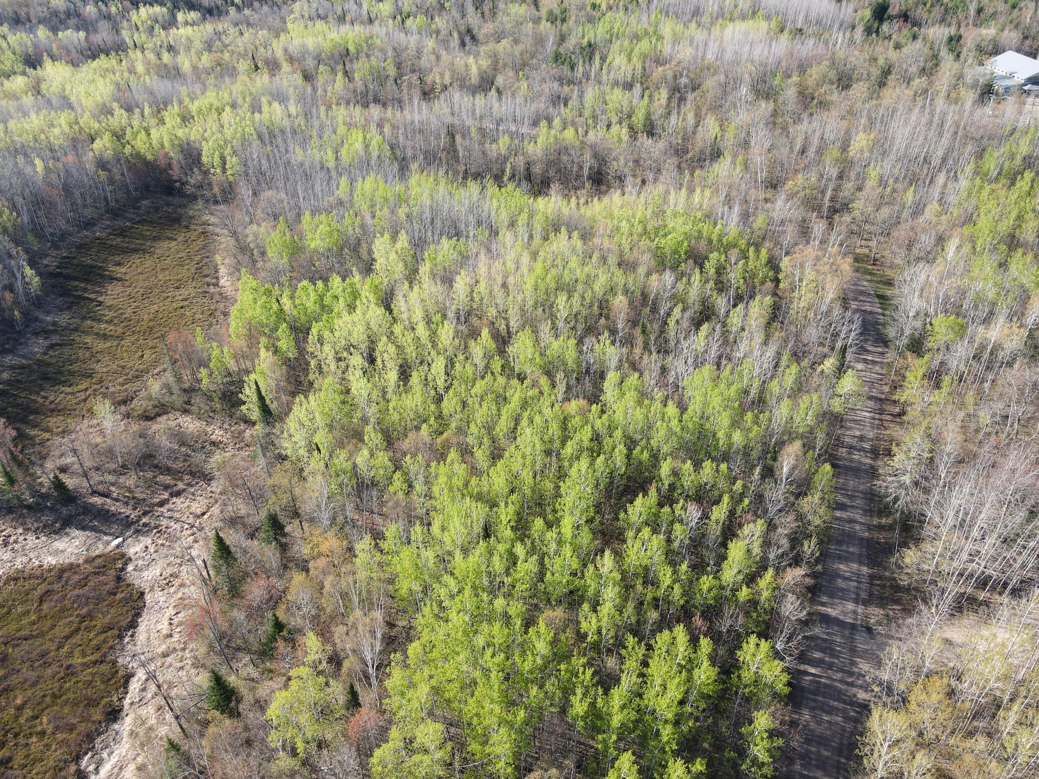 land for sale at 101 Baich Drive in Coleraine, MN (photo 5 of 19)