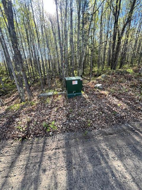 land for sale at 101 Baich Drive in Coleraine, MN (photo 6 of 19)