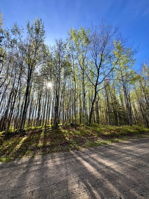 land for sale at 101 Baich Drive in Coleraine, MN (photo 7 of 19)