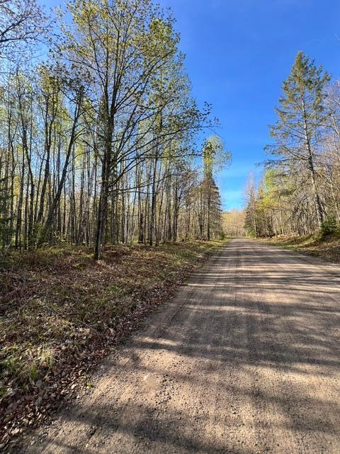 land for sale at 101 Baich Drive in Coleraine, MN (photo 8 of 19)