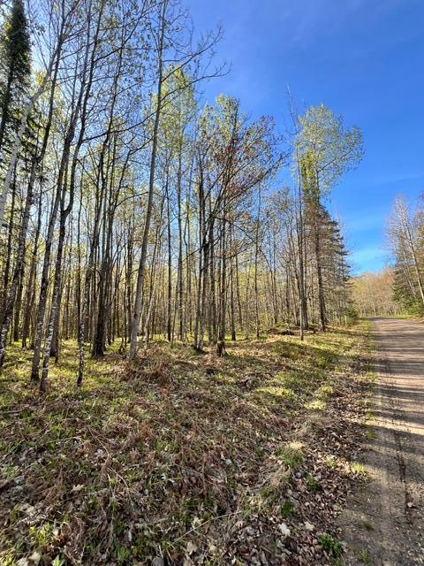 land for sale at 101 Baich Drive in Coleraine, MN (photo 10 of 19)
