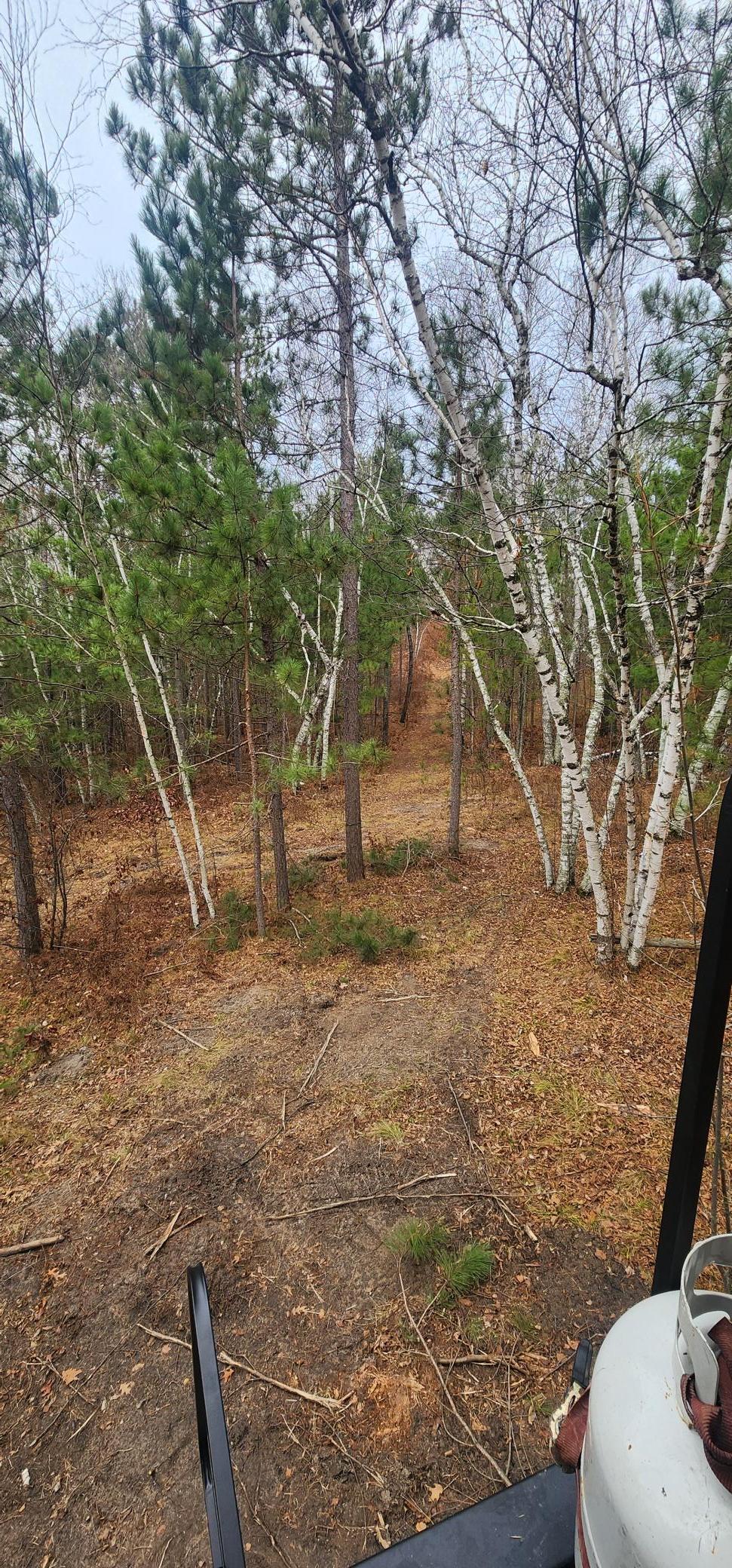 land for sale at TBD Niemi Drive in Osage, MN (photo 13 of 23)