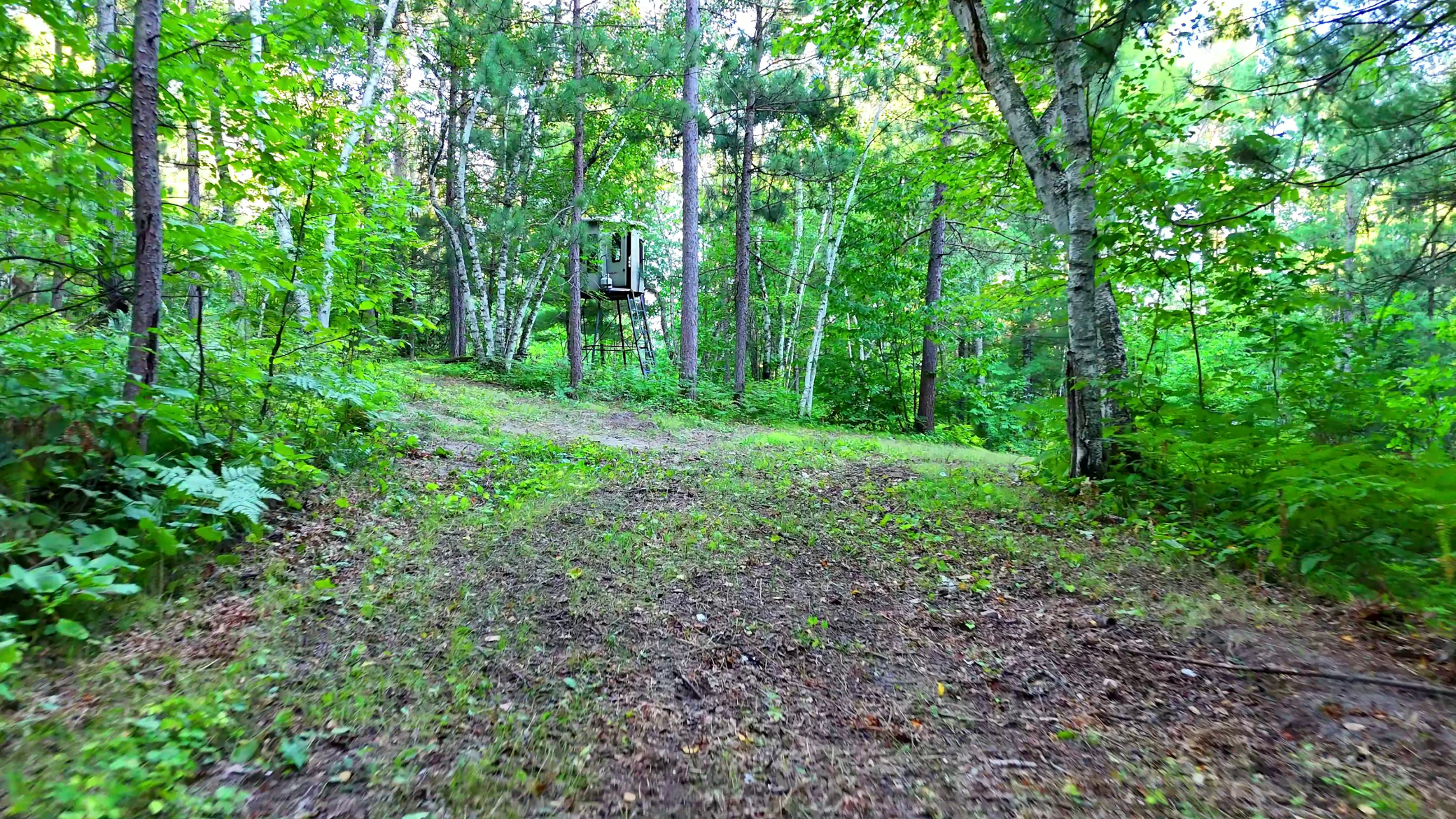 land for sale at TBD Niemi Drive in Osage, MN (photo 4 of 23)