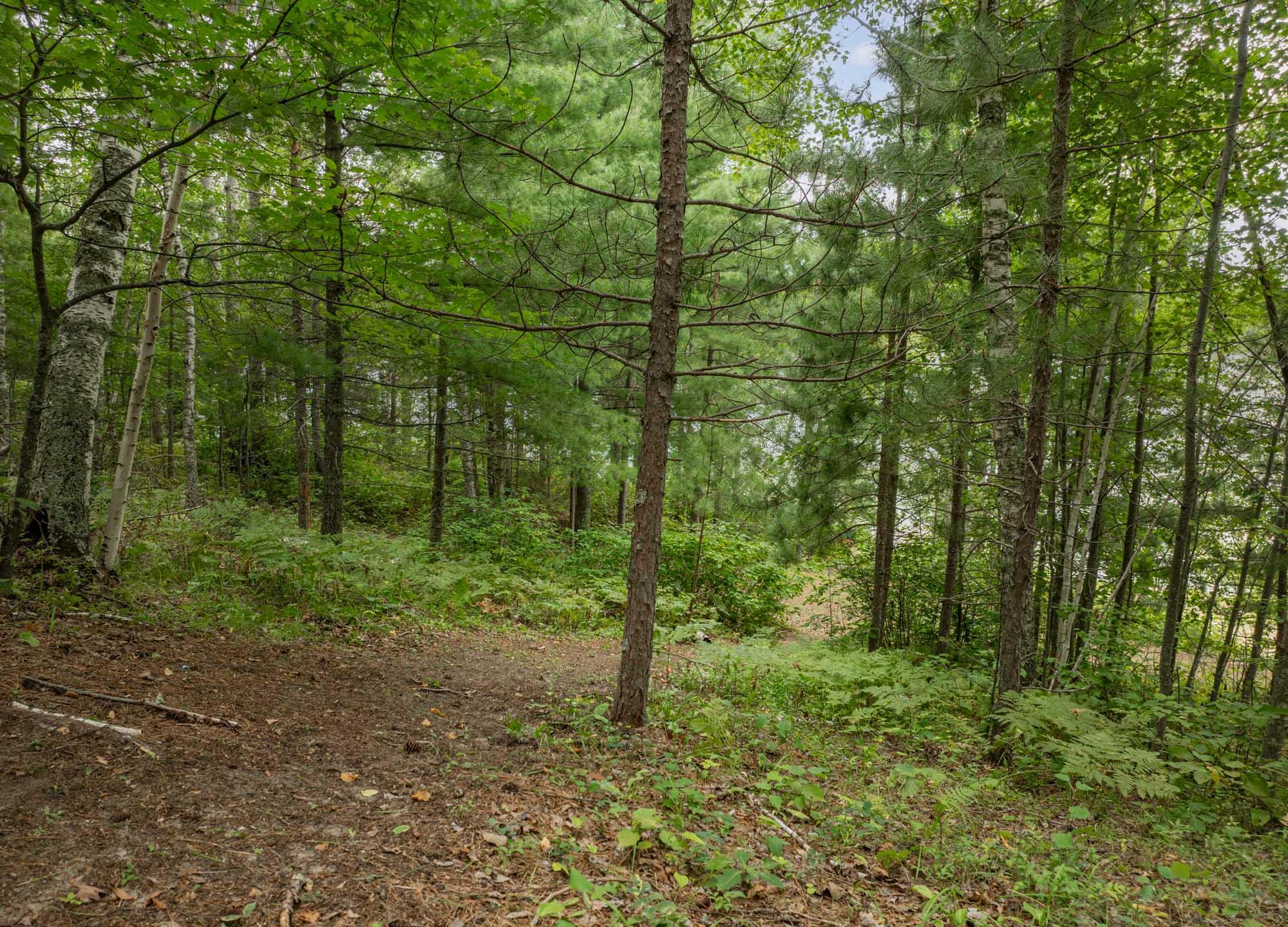 1959 single family home for sale at 24871 E Long Lake Road in Bigfork, MN — 2 bed, 1 bath (photo 52 of 58)