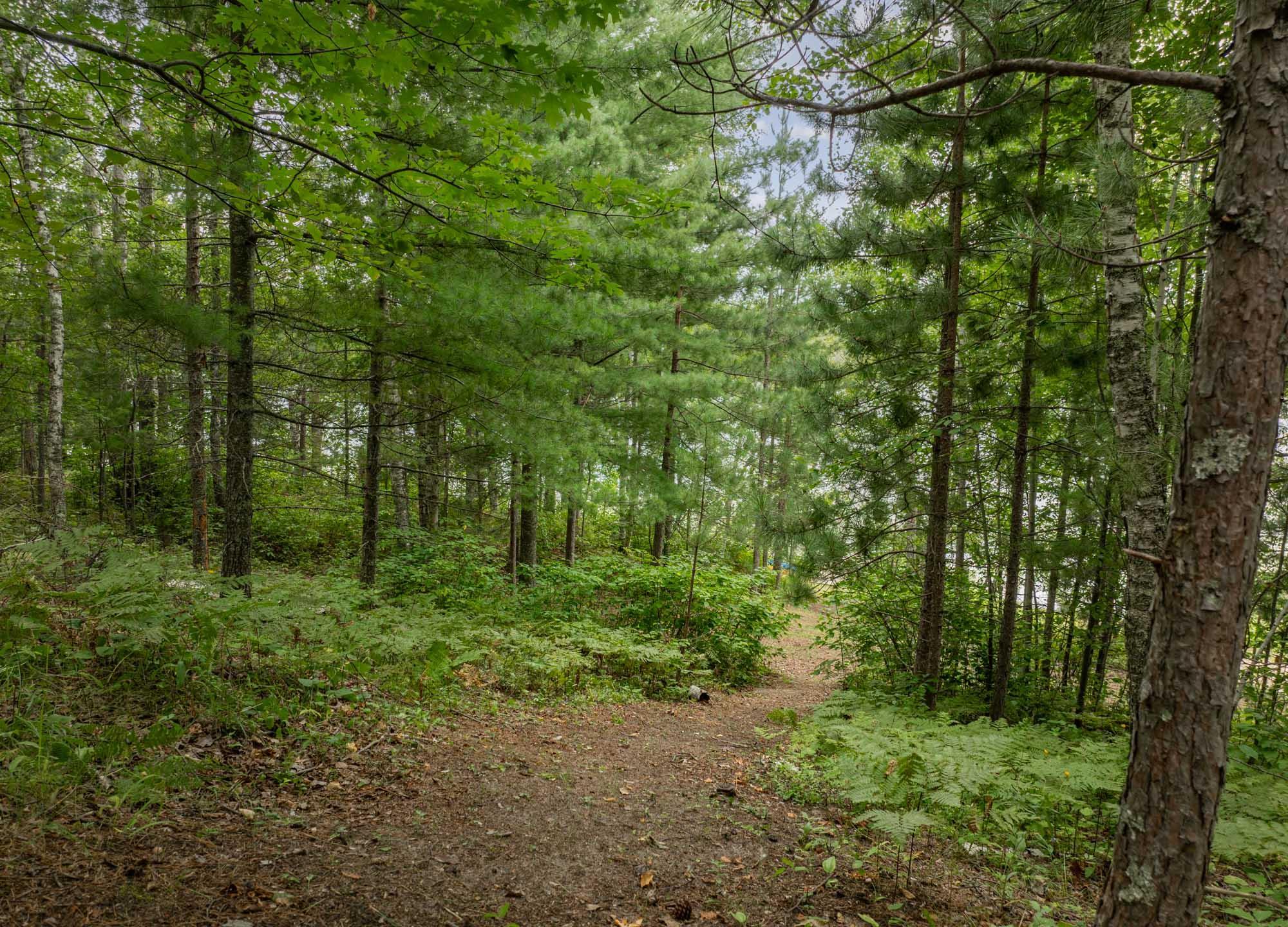 1959 single family home for sale at 24871 E Long Lake Road in Bigfork, MN — 2 bed, 1 bath (photo 53 of 58)