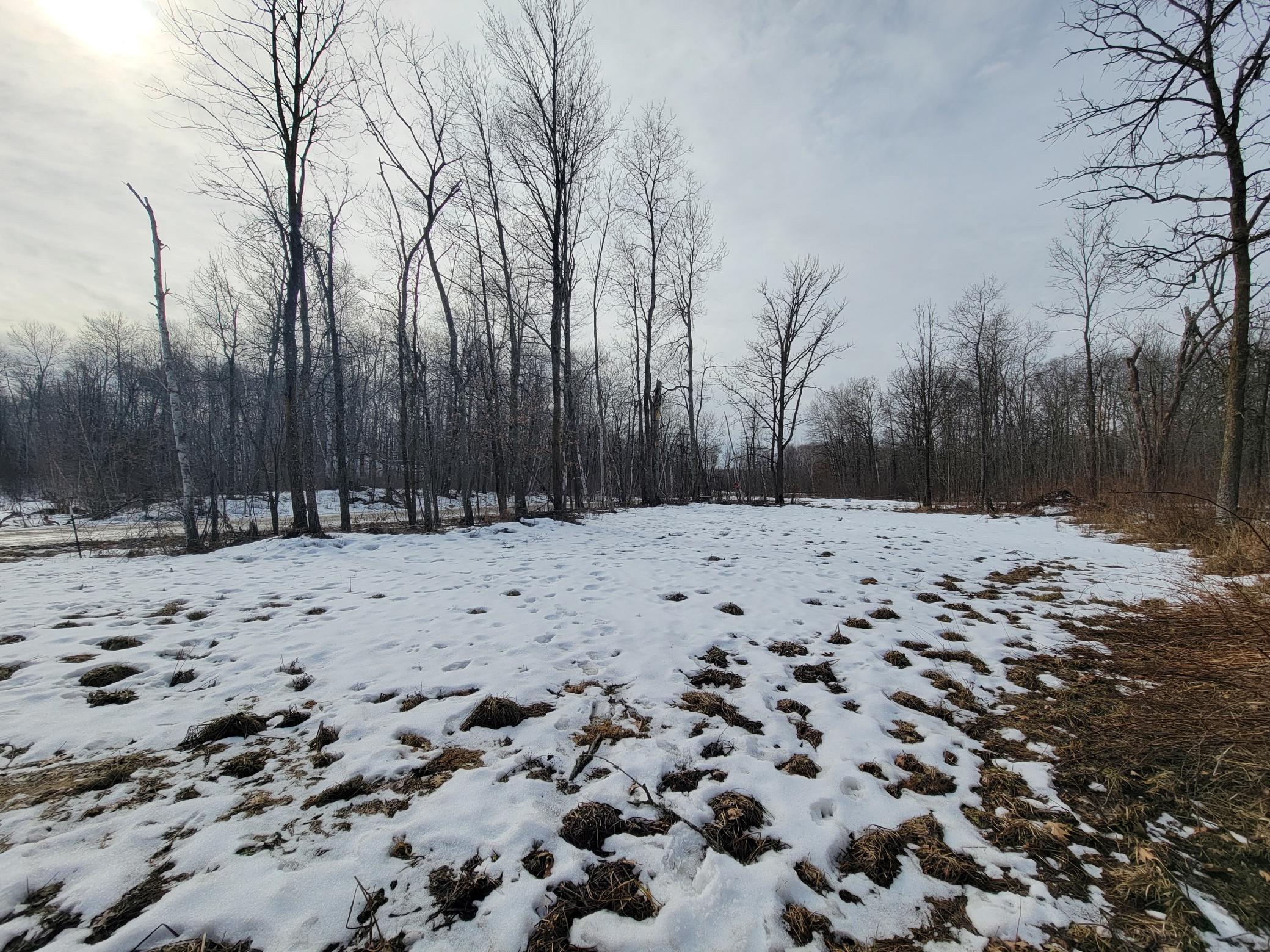 land for sale at TBD XXXX Black Bear Drive SW in Motley, MN