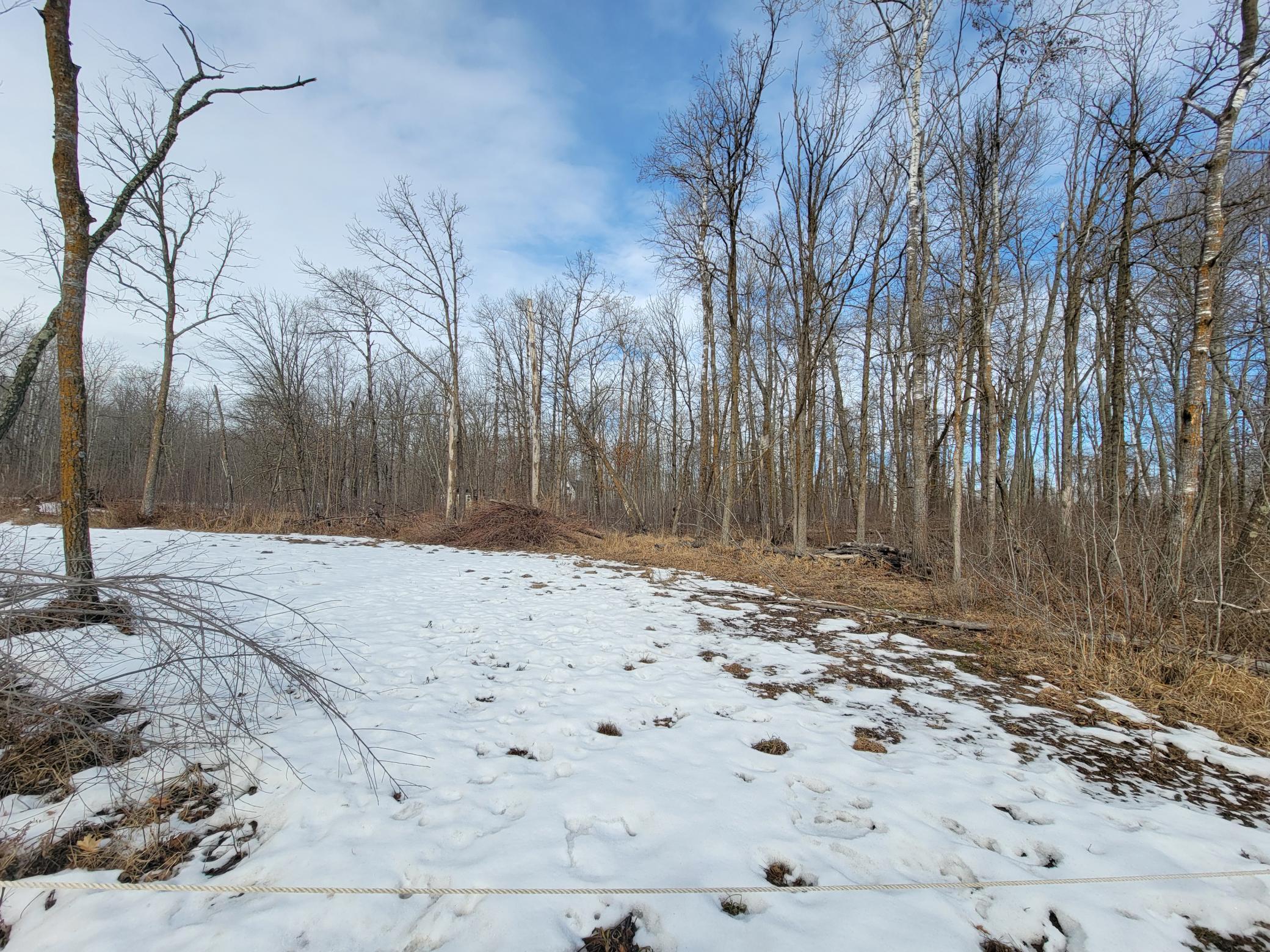 land for sale at TBD XXXX Black Bear Drive SW in Motley, MN (photo 2 of 18)