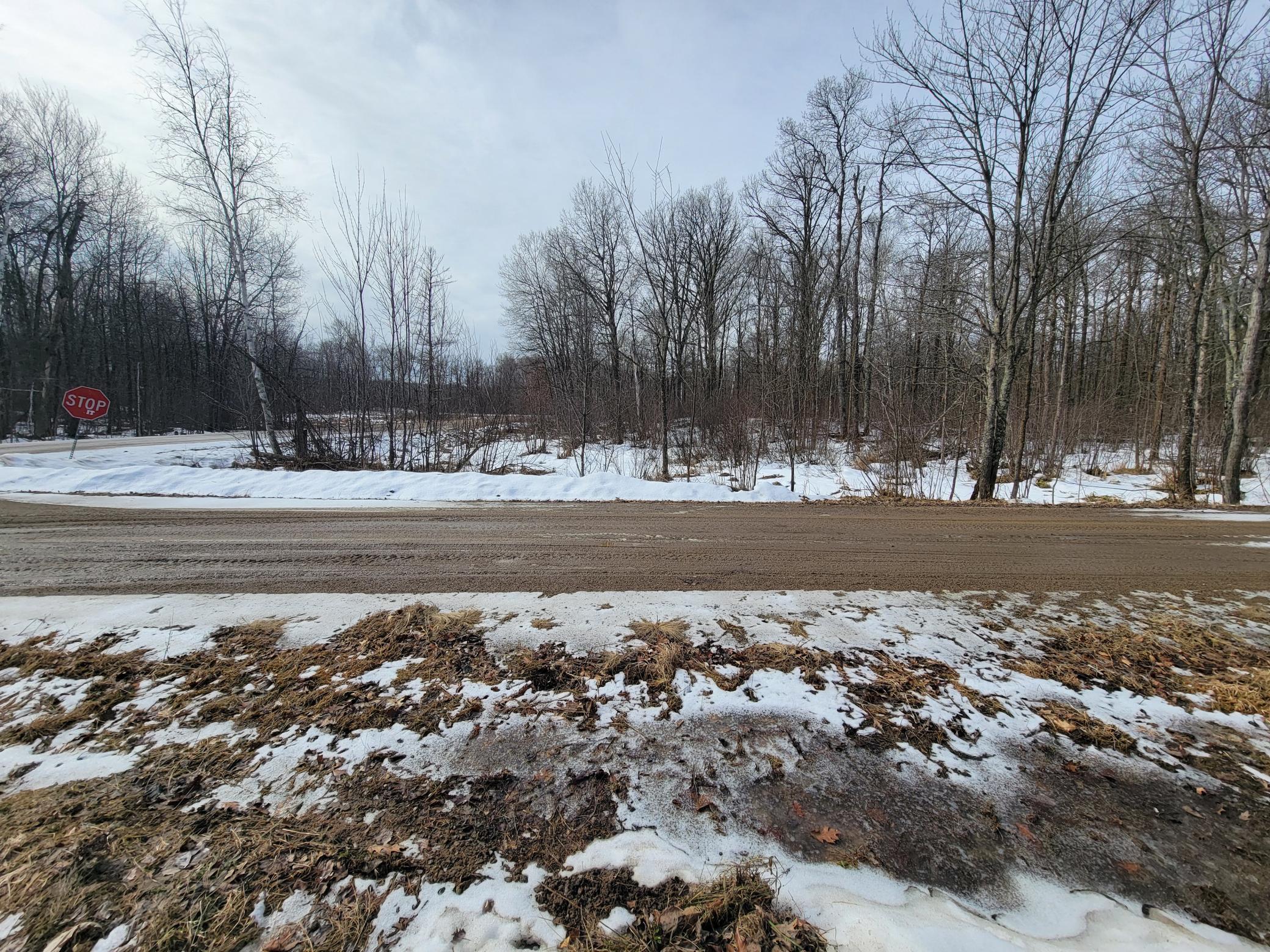 land for sale at TBD XXXX Black Bear Drive SW in Motley, MN (photo 11 of 18)