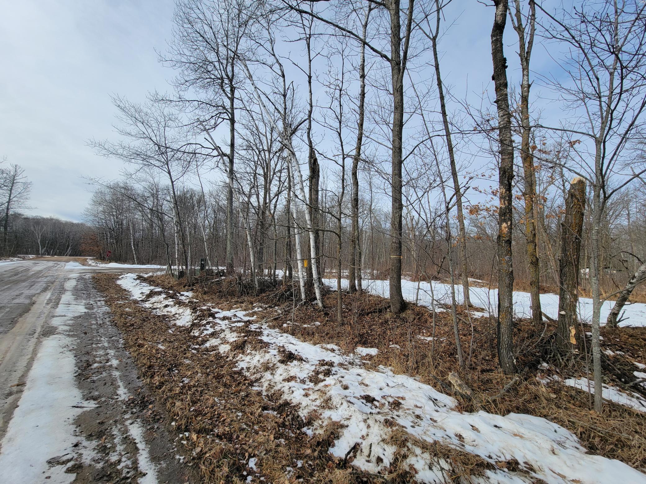 land for sale at TBD XXXX Black Bear Drive SW in Motley, MN (photo 14 of 18)