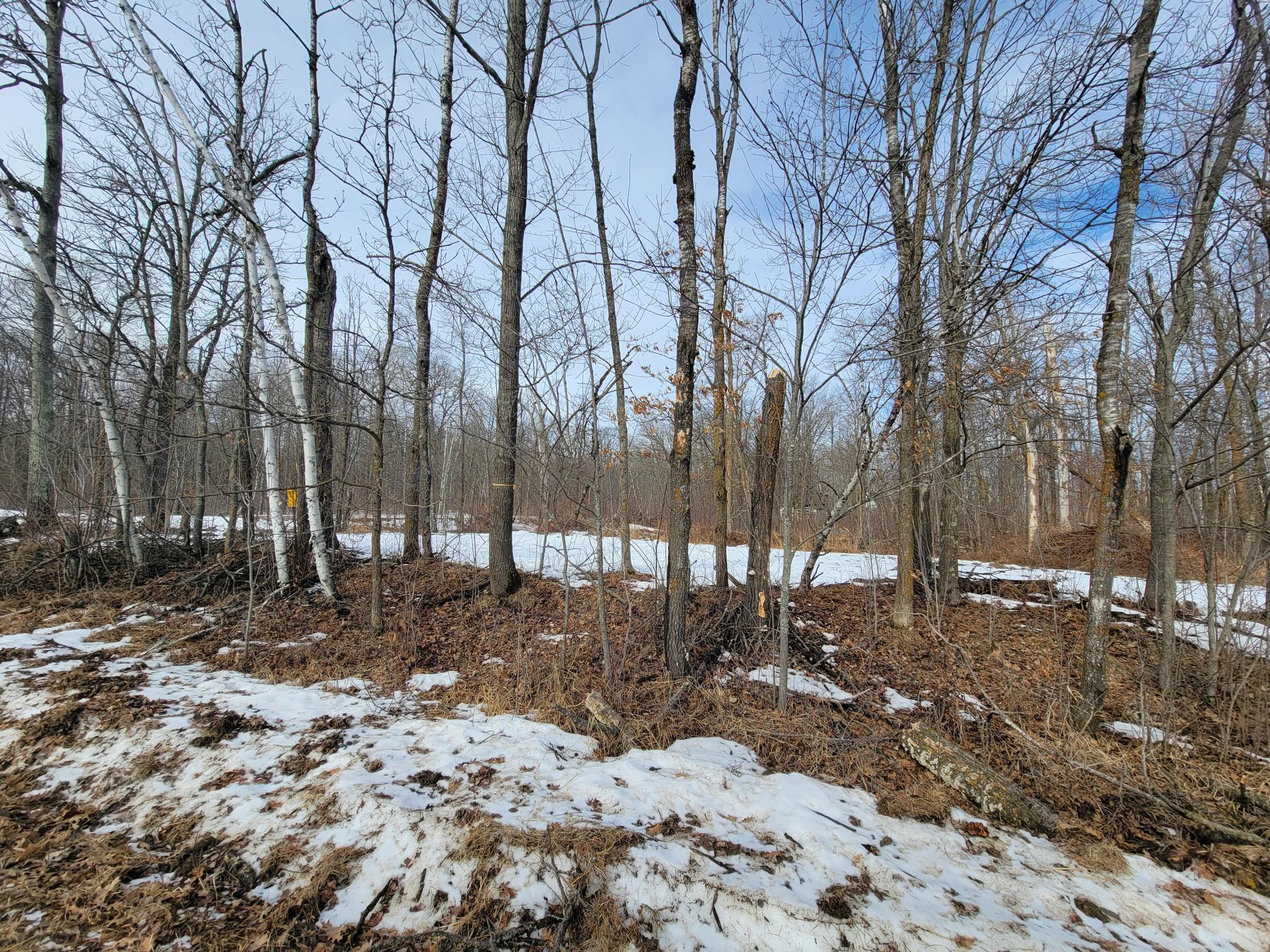 land for sale at TBD XXXX Black Bear Drive SW in Motley, MN (photo 15 of 18)