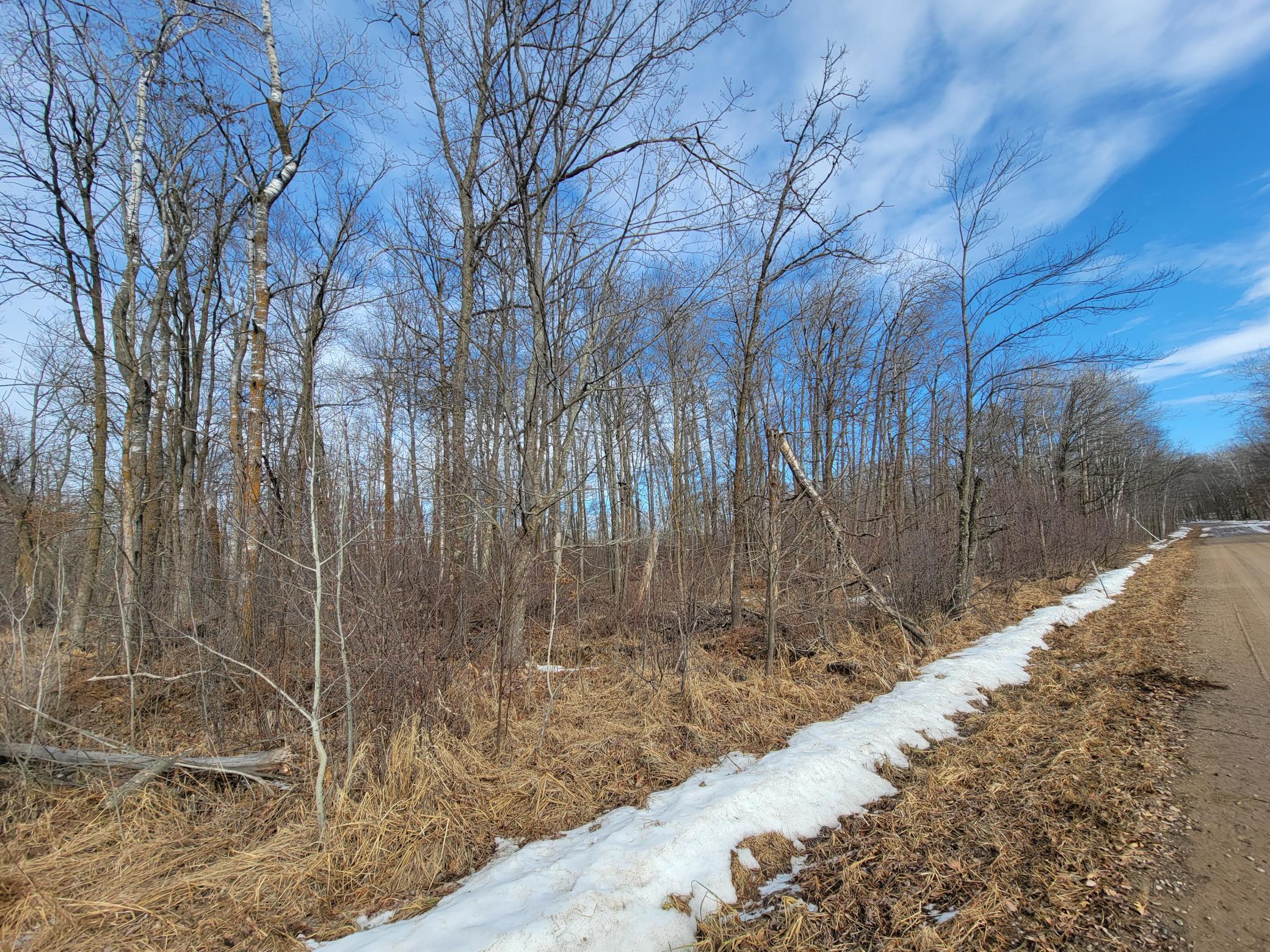 land for sale at TBD XXXX Black Bear Drive SW in Motley, MN (photo 16 of 18)