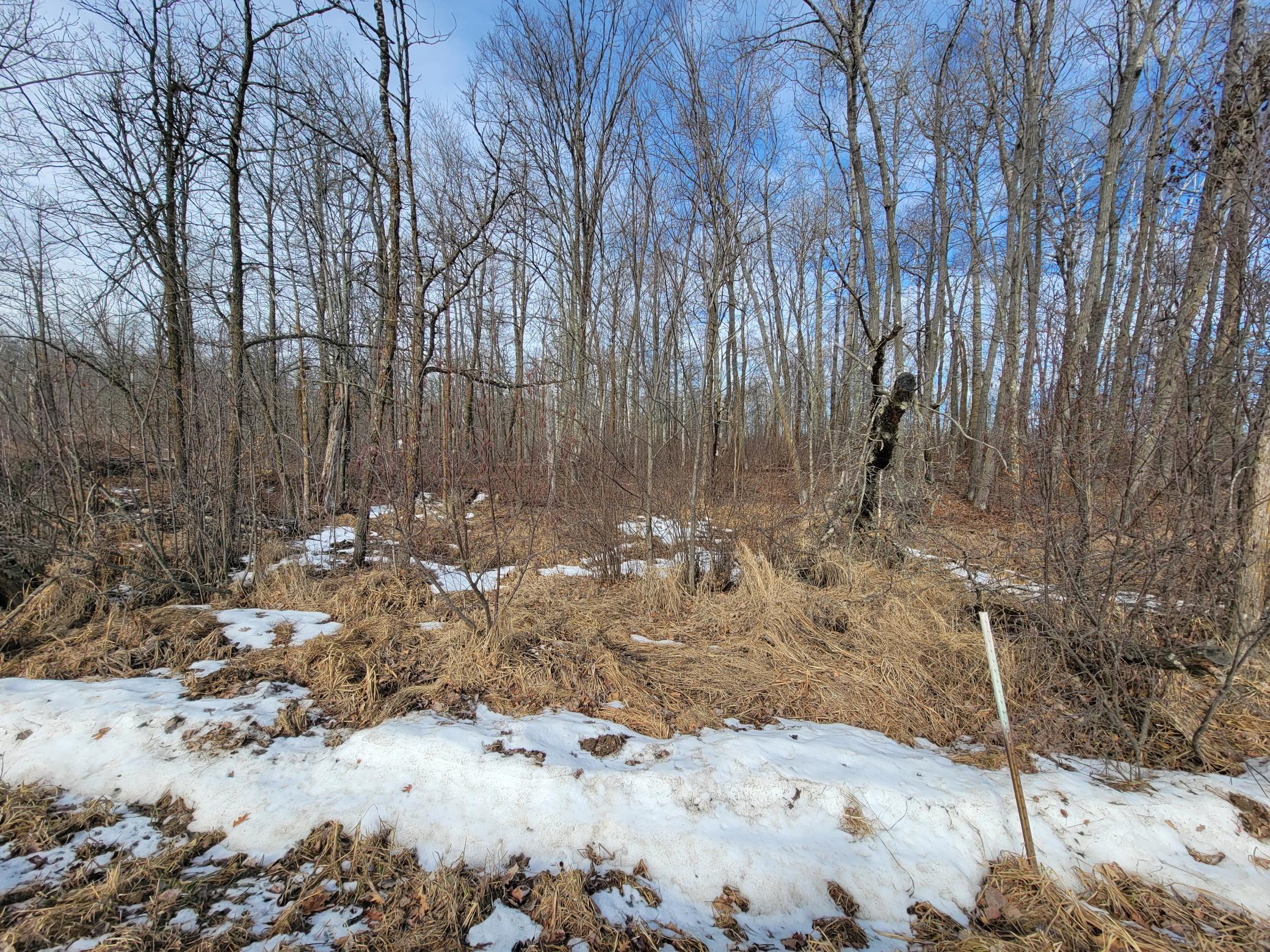 land for sale at TBD XXXX Black Bear Drive SW in Motley, MN (photo 17 of 18)