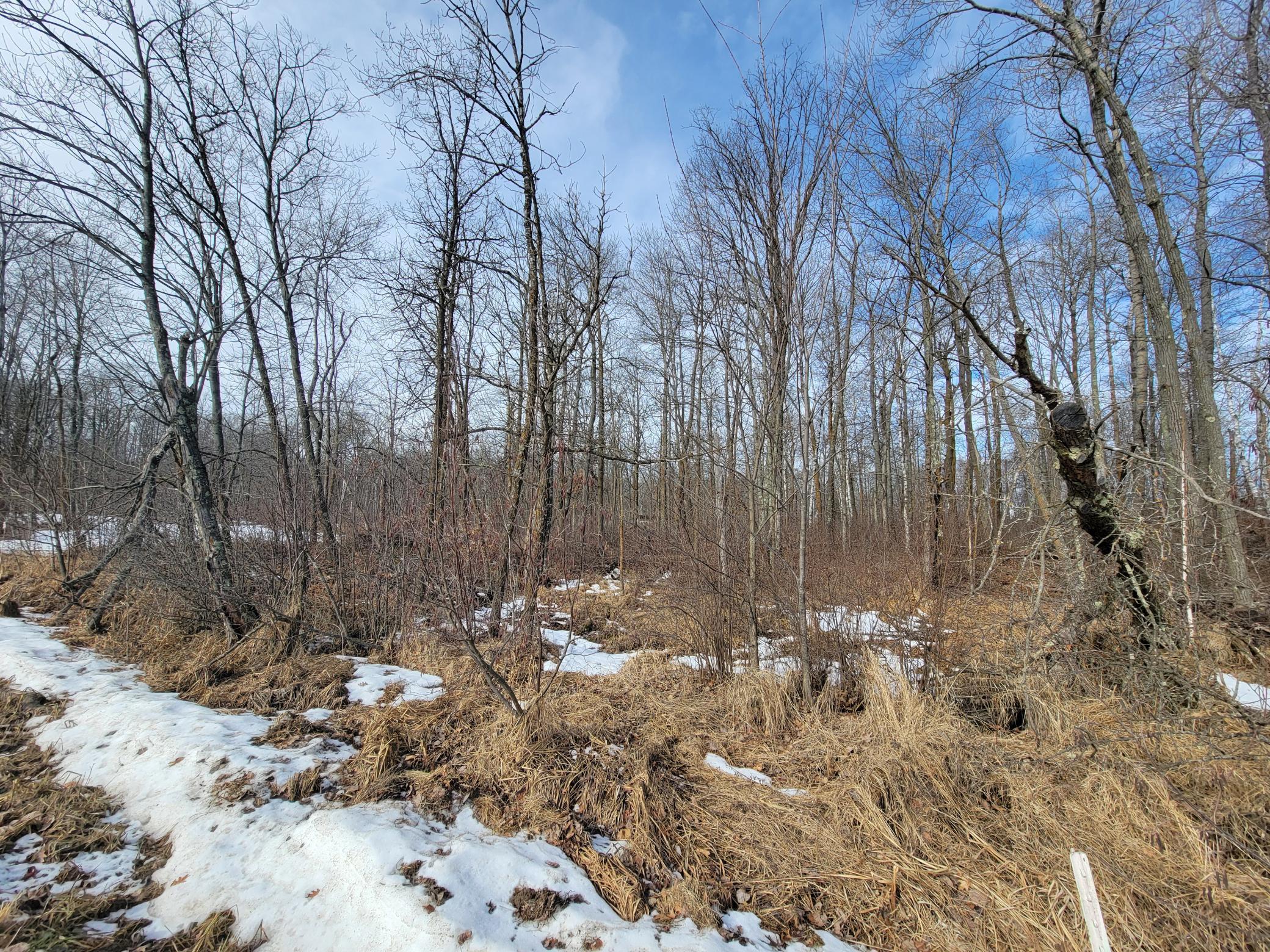 land for sale at TBD XXXX Black Bear Drive SW in Motley, MN (photo 18 of 18)
