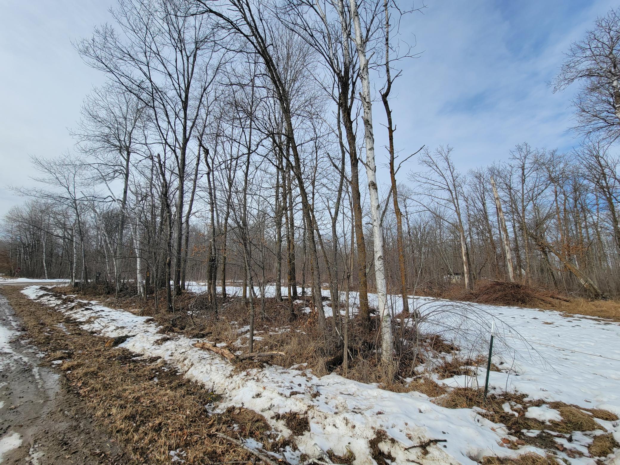 land for sale at TBD XXXX Black Bear Drive SW in Motley, MN (photo 3 of 18)