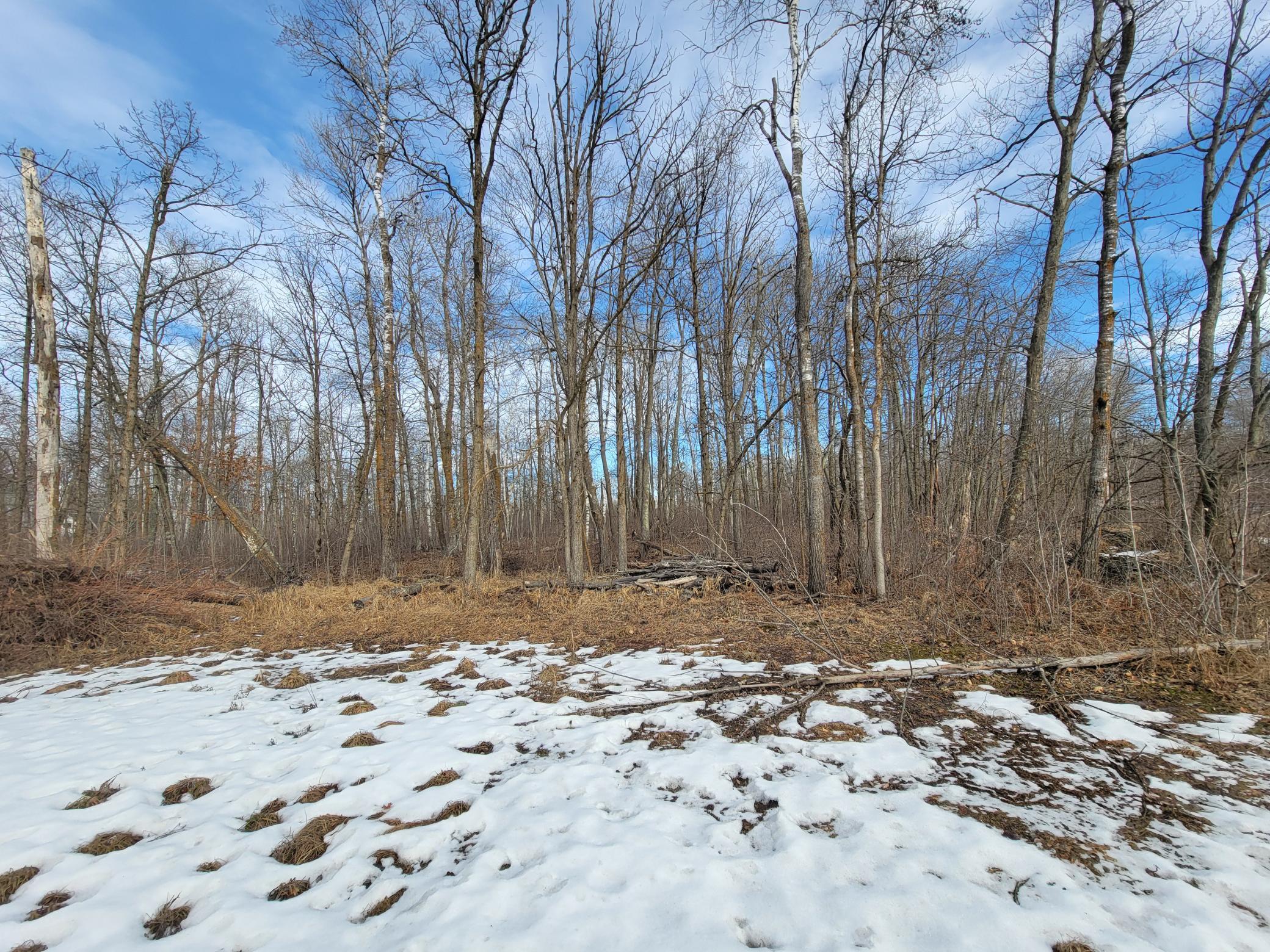 land for sale at TBD XXXX Black Bear Drive SW in Motley, MN (photo 4 of 18)