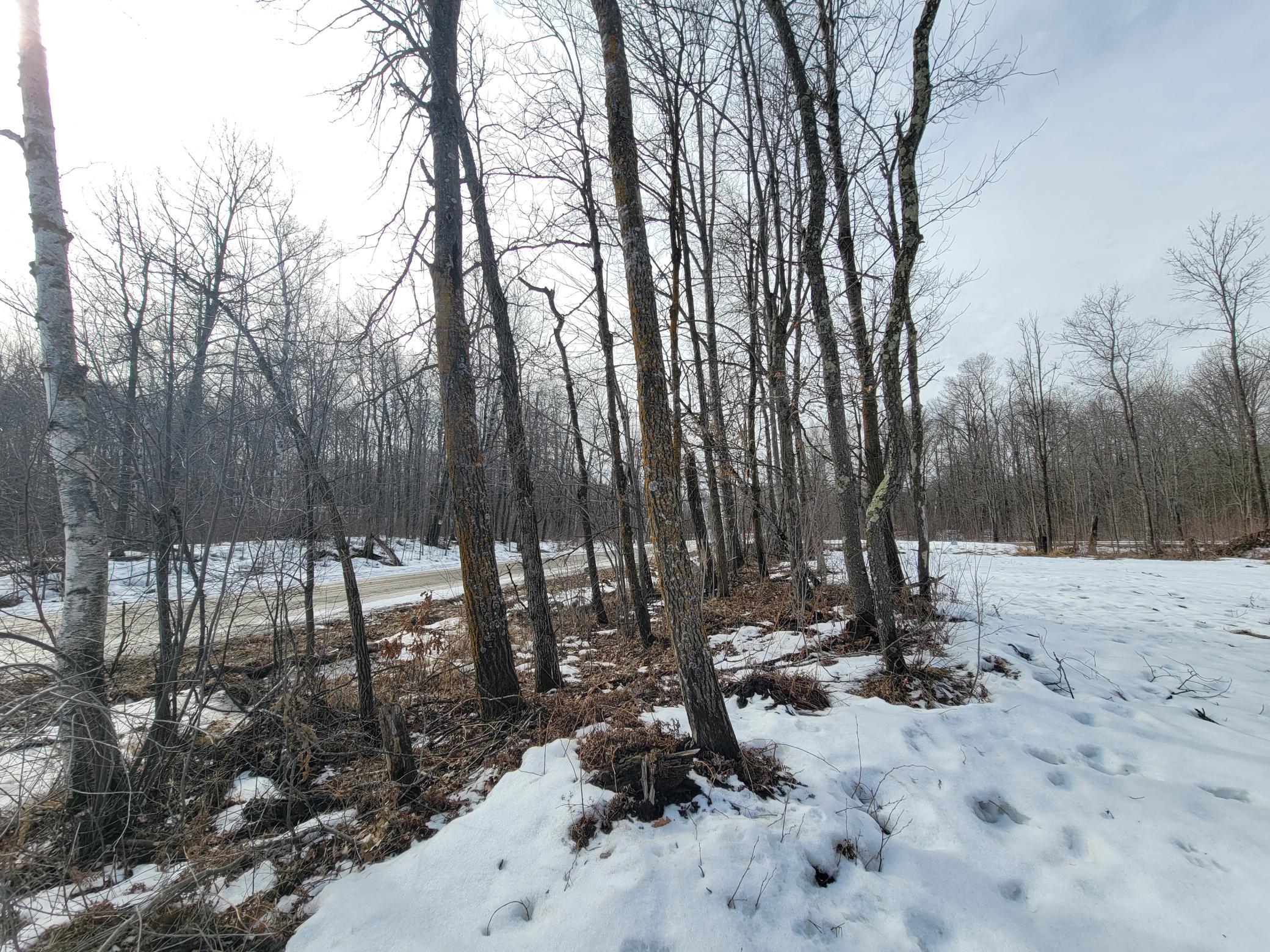 land for sale at TBD XXXX Black Bear Drive SW in Motley, MN (photo 5 of 18)