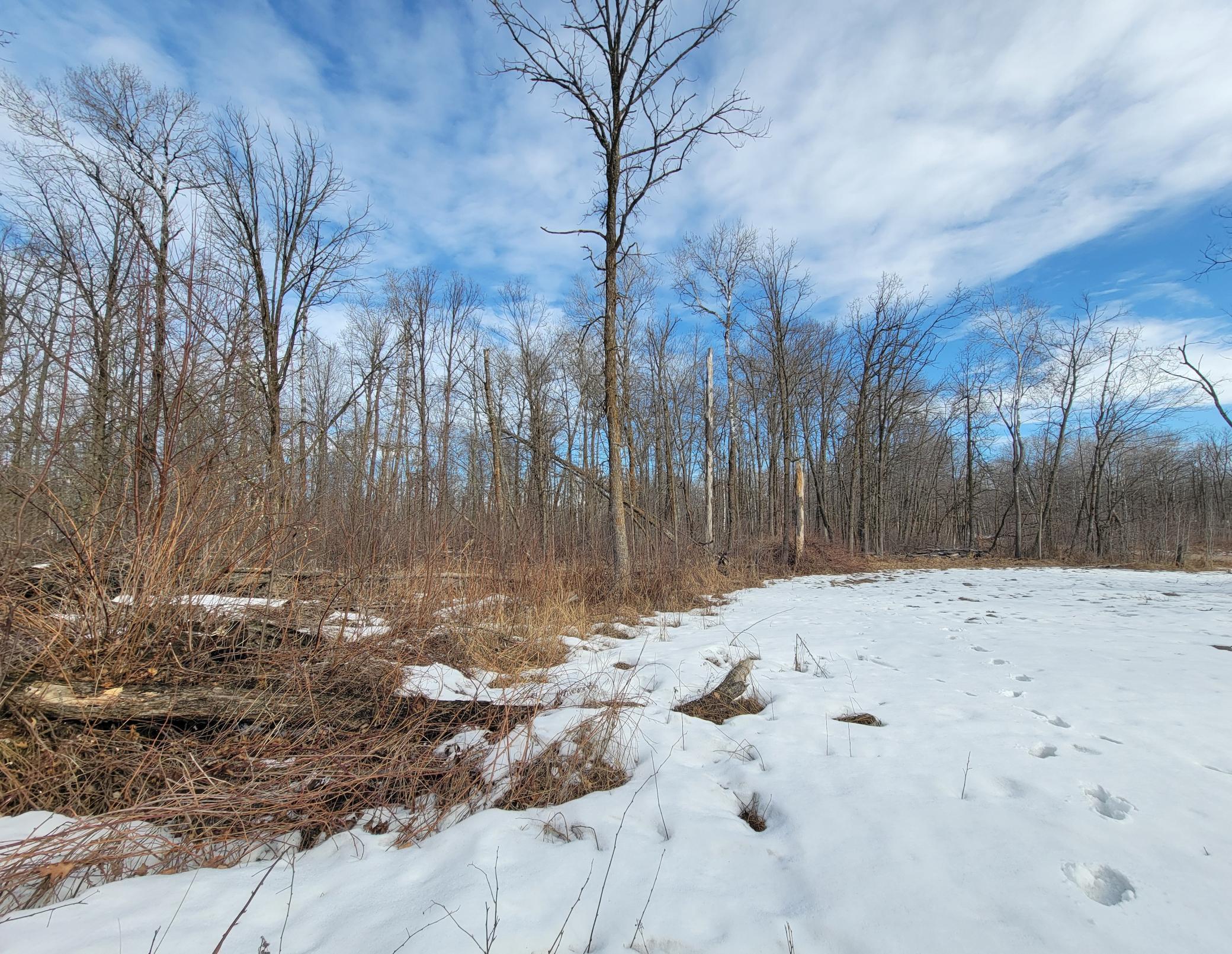 land for sale at TBD XXXX Black Bear Drive SW in Motley, MN (photo 8 of 18)