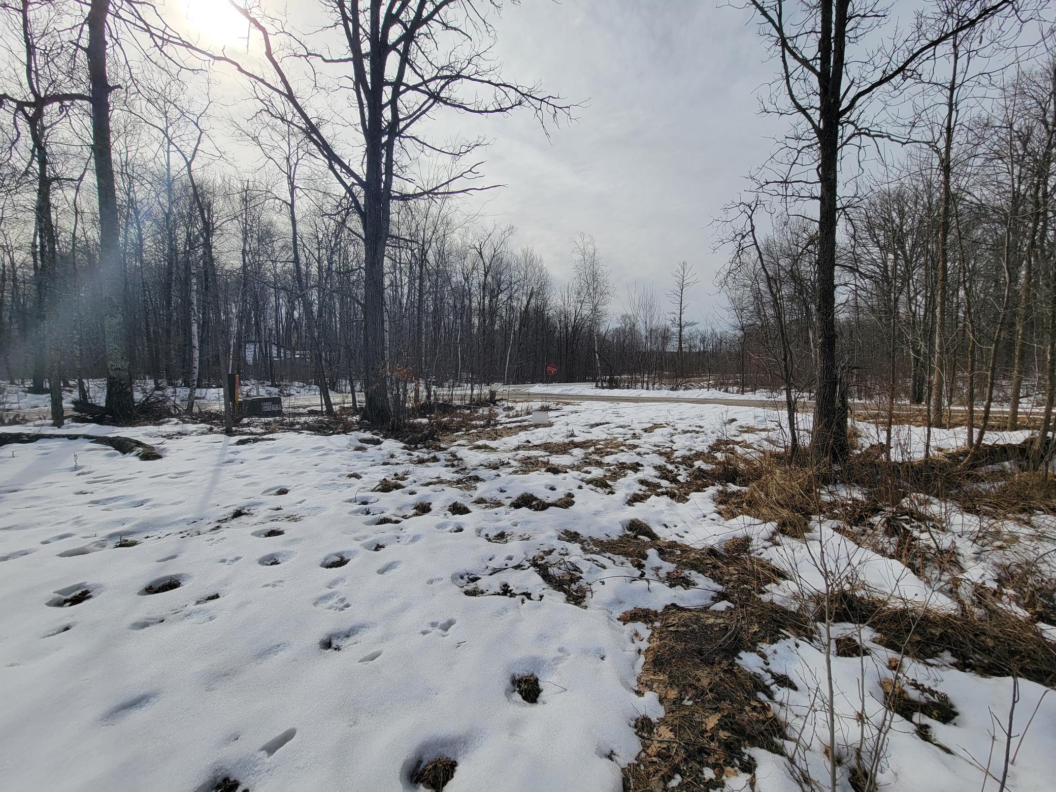 land for sale at TBD XXXX Black Bear Drive SW in Motley, MN (photo 9 of 18)