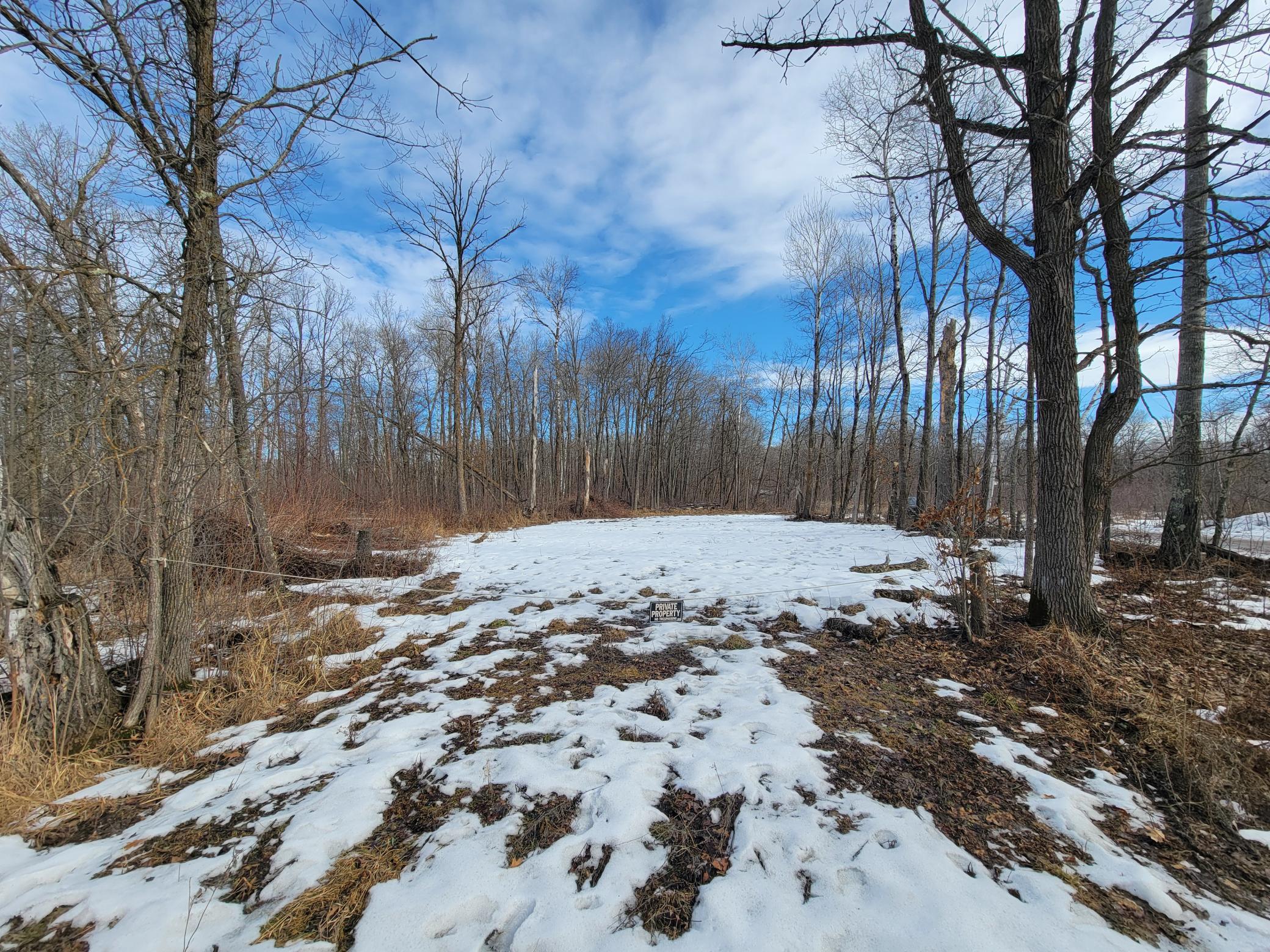 land for sale at TBD XXXX Black Bear Drive SW in Motley, MN (photo 10 of 18)