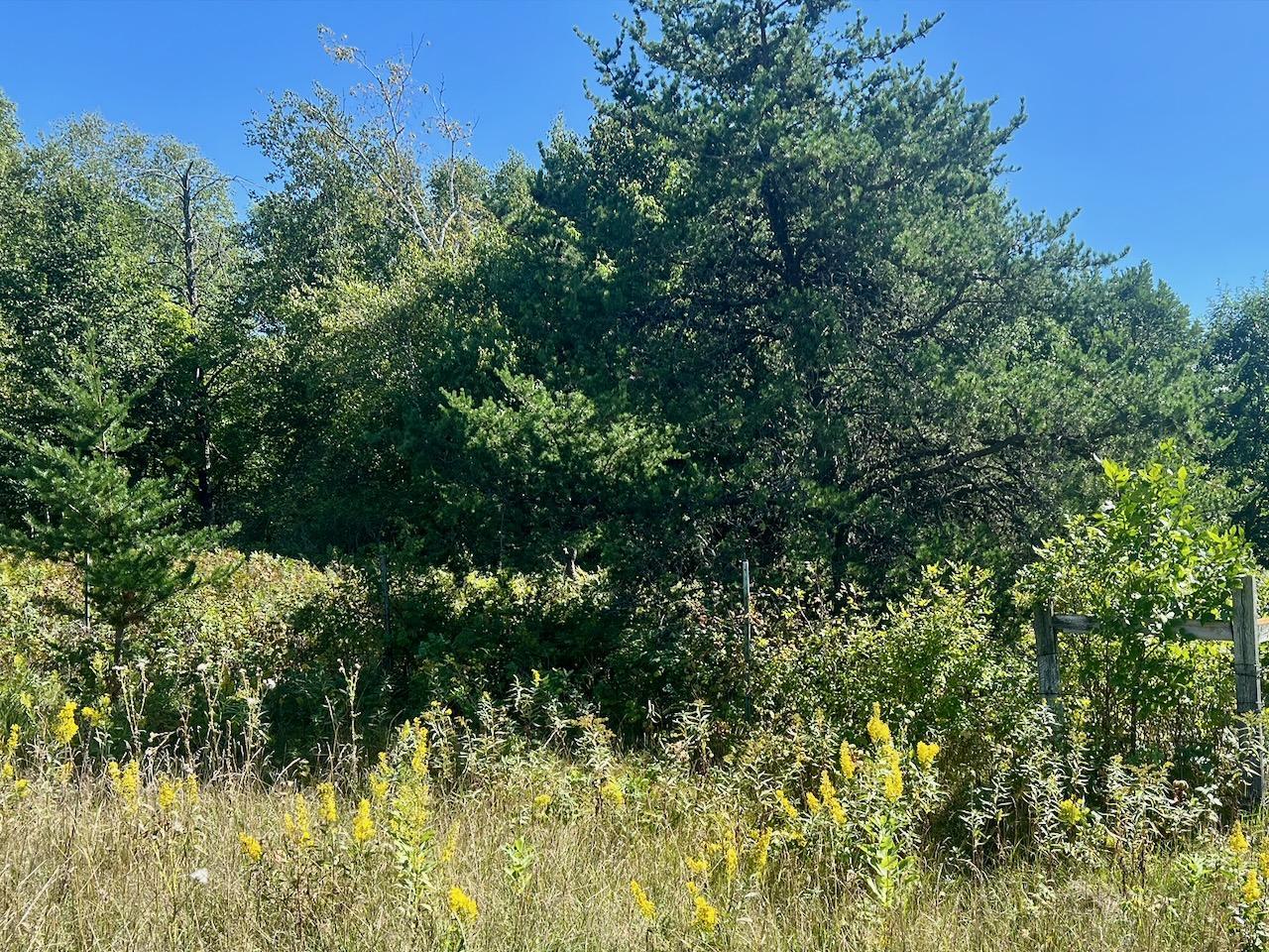 land for sale at 440th St in Perham, MN (photo 11 of 18)