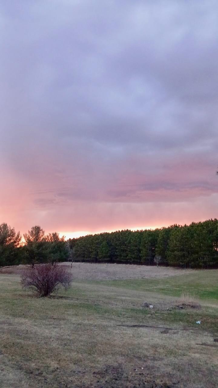 land for sale at 440th St in Perham, MN (photo 12 of 18)