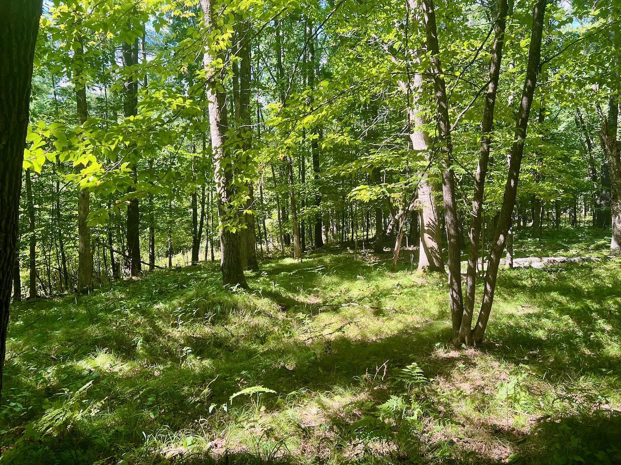 land for sale at 440th St in Perham, MN (photo 5 of 18)