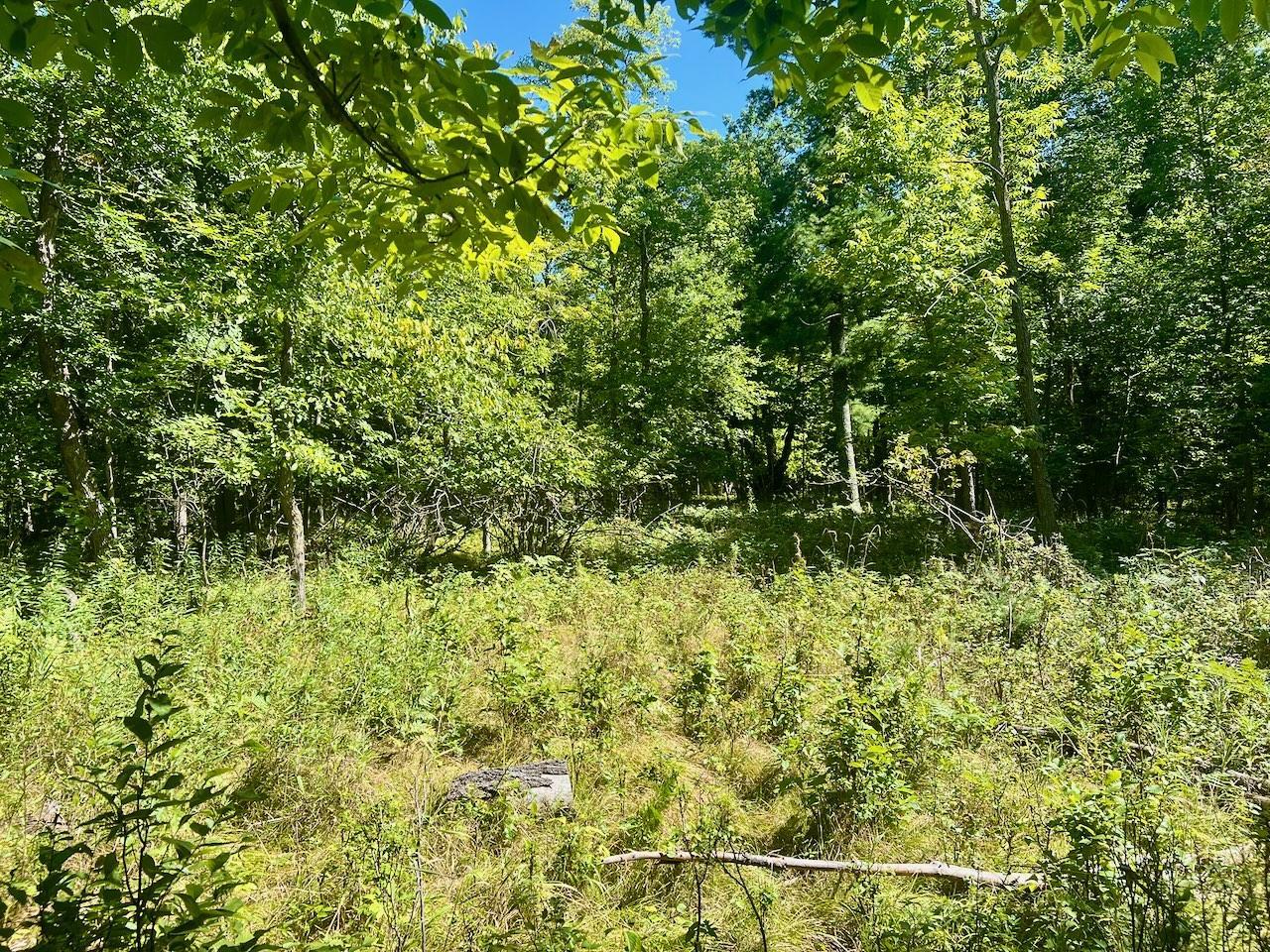 land for sale at 440th St in Perham, MN (photo 9 of 18)