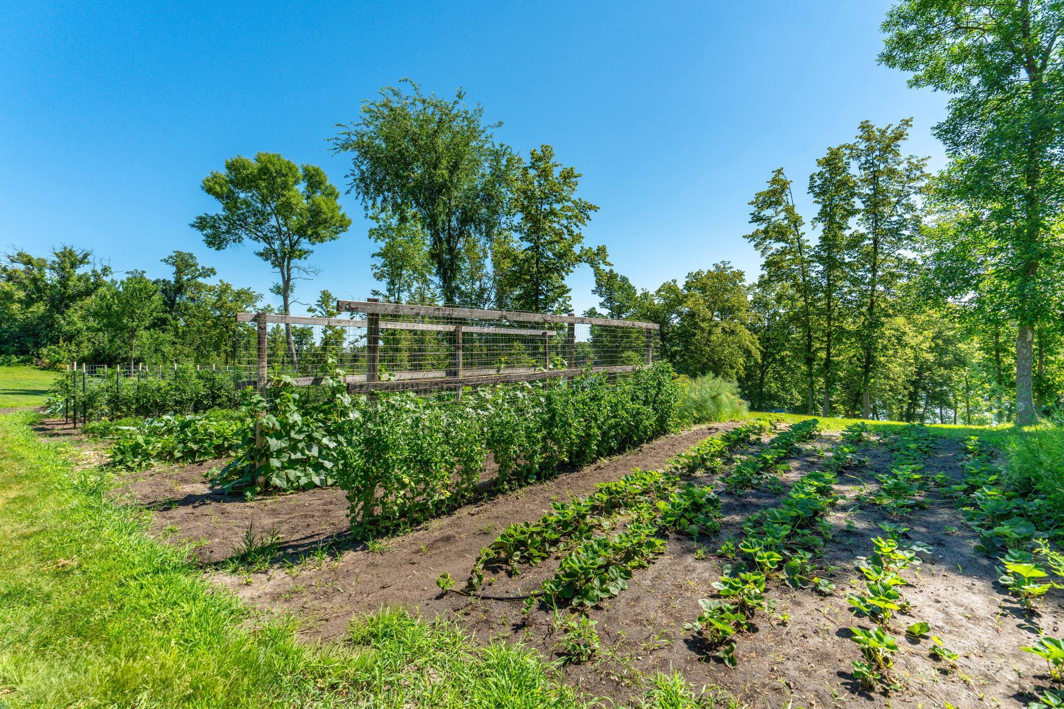 2024 single family home for sale at 19642 308th Avenue in Underwood, MN — 3 bed, 3 bath (photo 73 of 91)