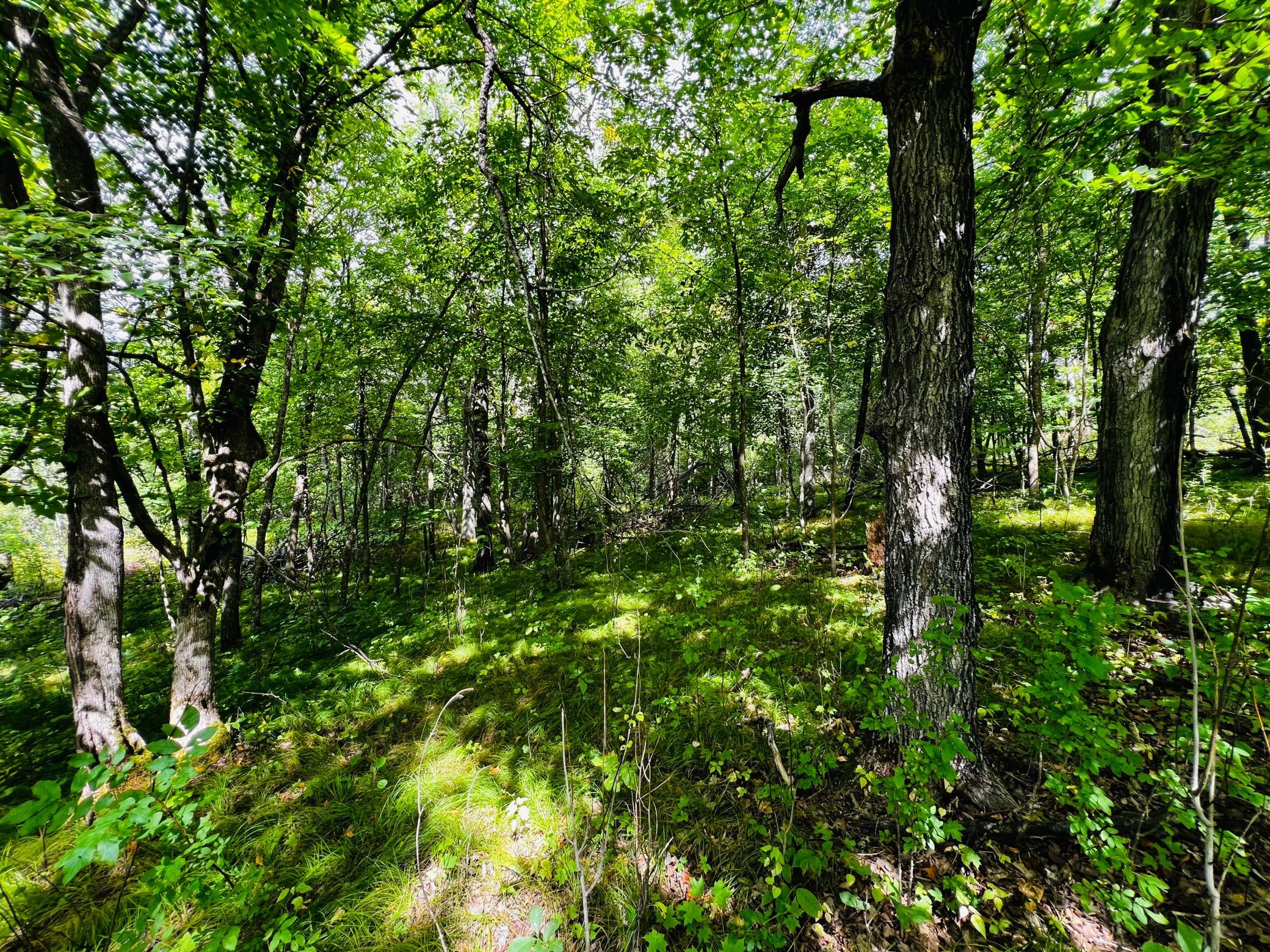 land for sale at TBD CO HWY 27 in Rochert, MN (photo 14 of 34)