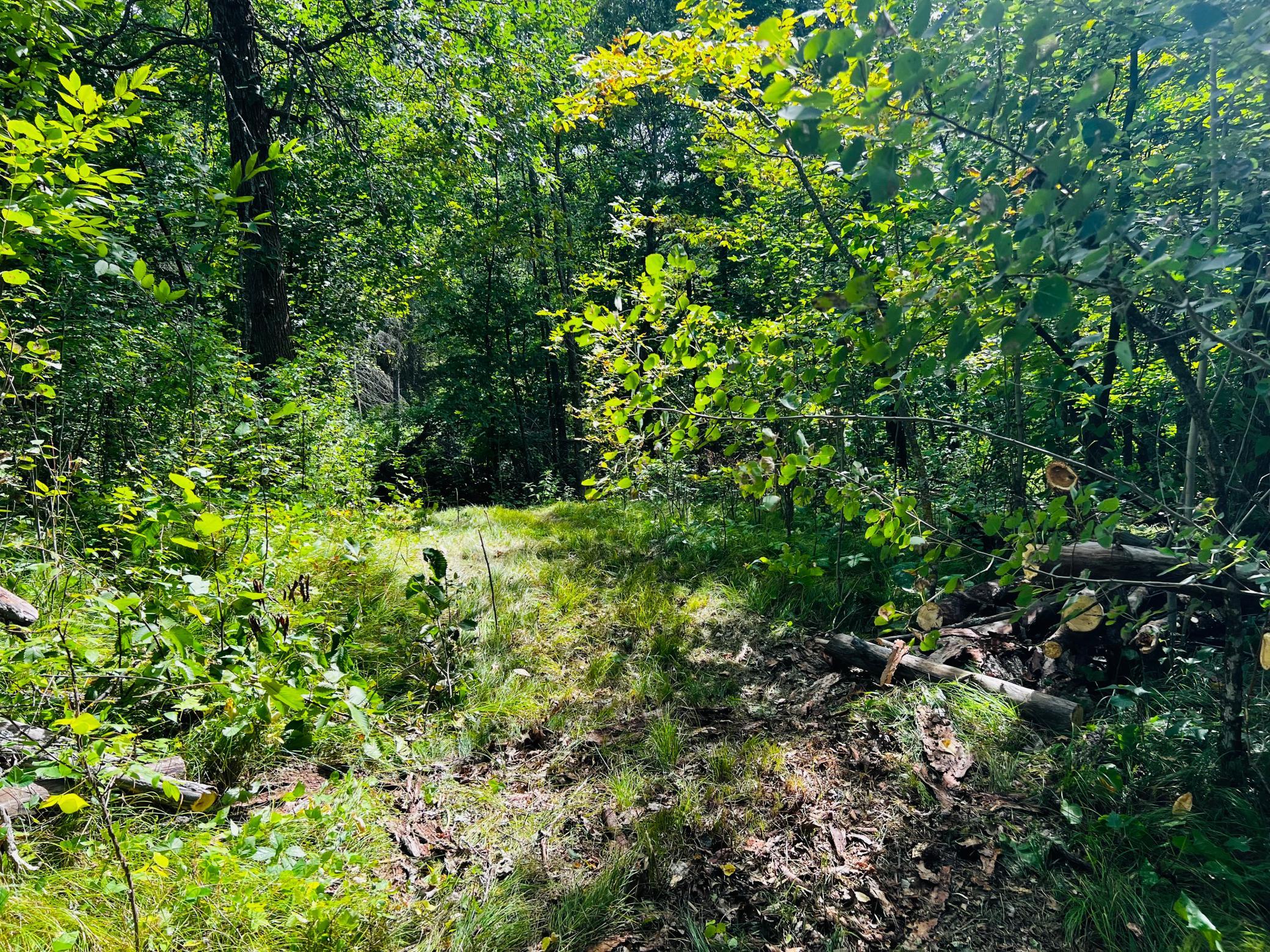 land for sale at TBD CO HWY 27 in Rochert, MN (photo 15 of 34)