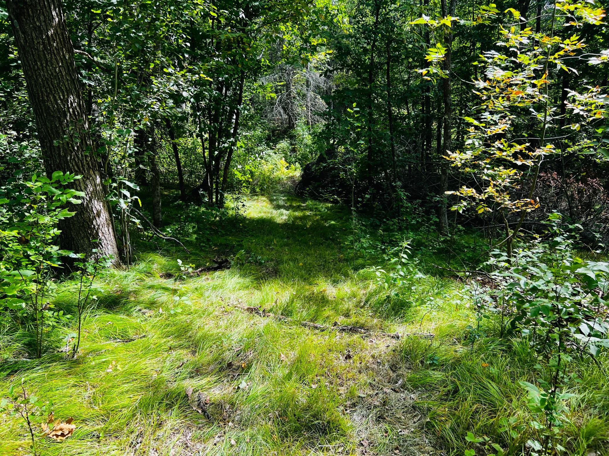 land for sale at TBD CO HWY 27 in Rochert, MN (photo 16 of 34)