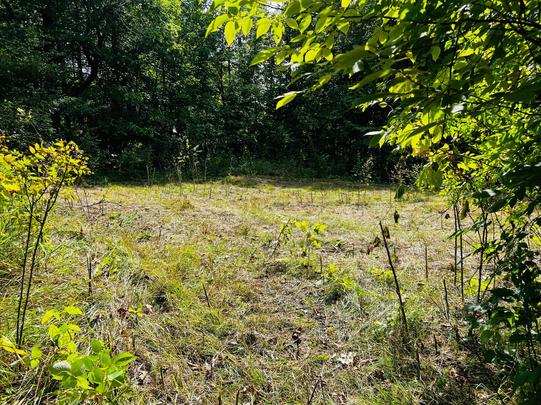 land for sale at TBD CO HWY 27 in Rochert, MN (photo 17 of 34)