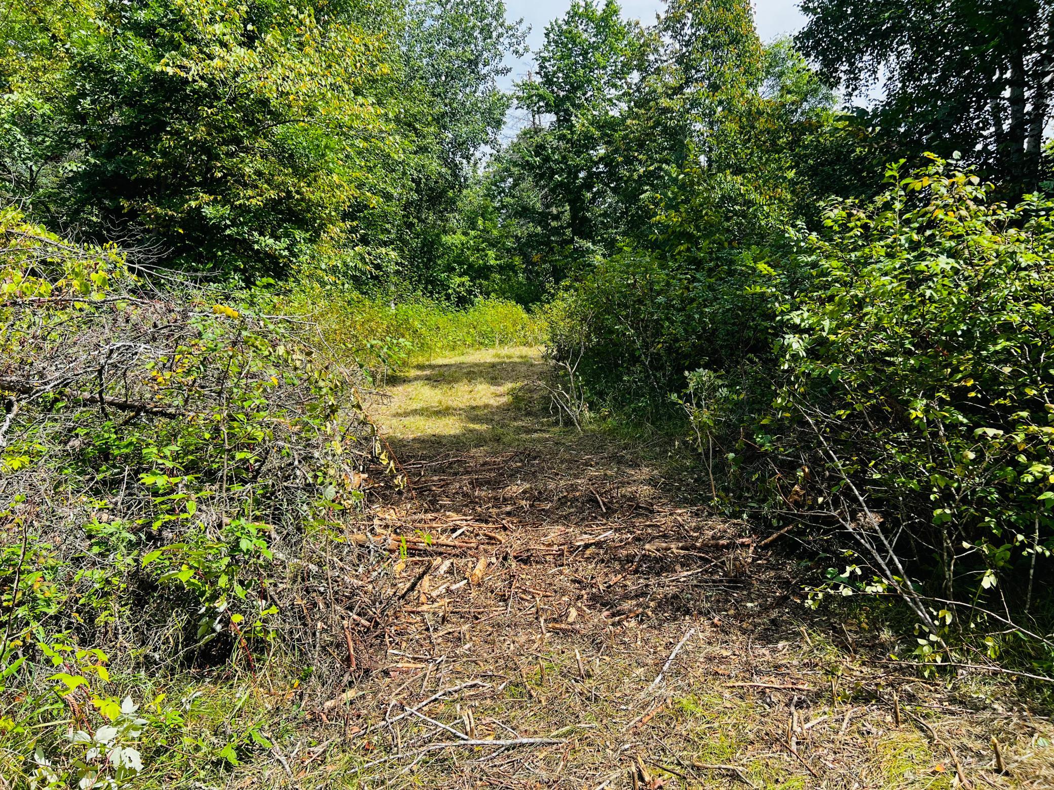 land for sale at TBD CO HWY 27 in Rochert, MN (photo 18 of 34)