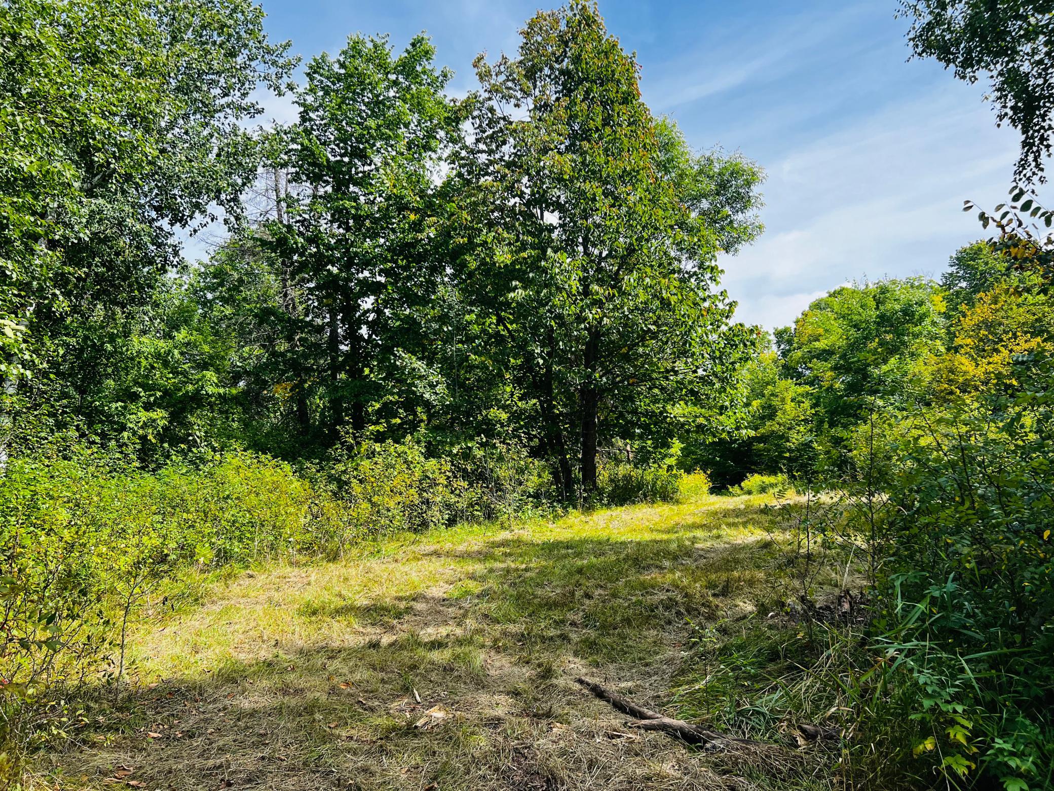 land for sale at TBD CO HWY 27 in Rochert, MN (photo 20 of 34)