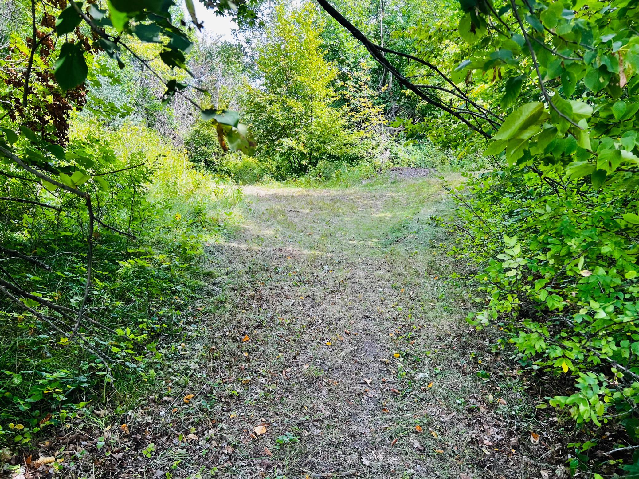 land for sale at TBD CO HWY 27 in Rochert, MN (photo 21 of 34)