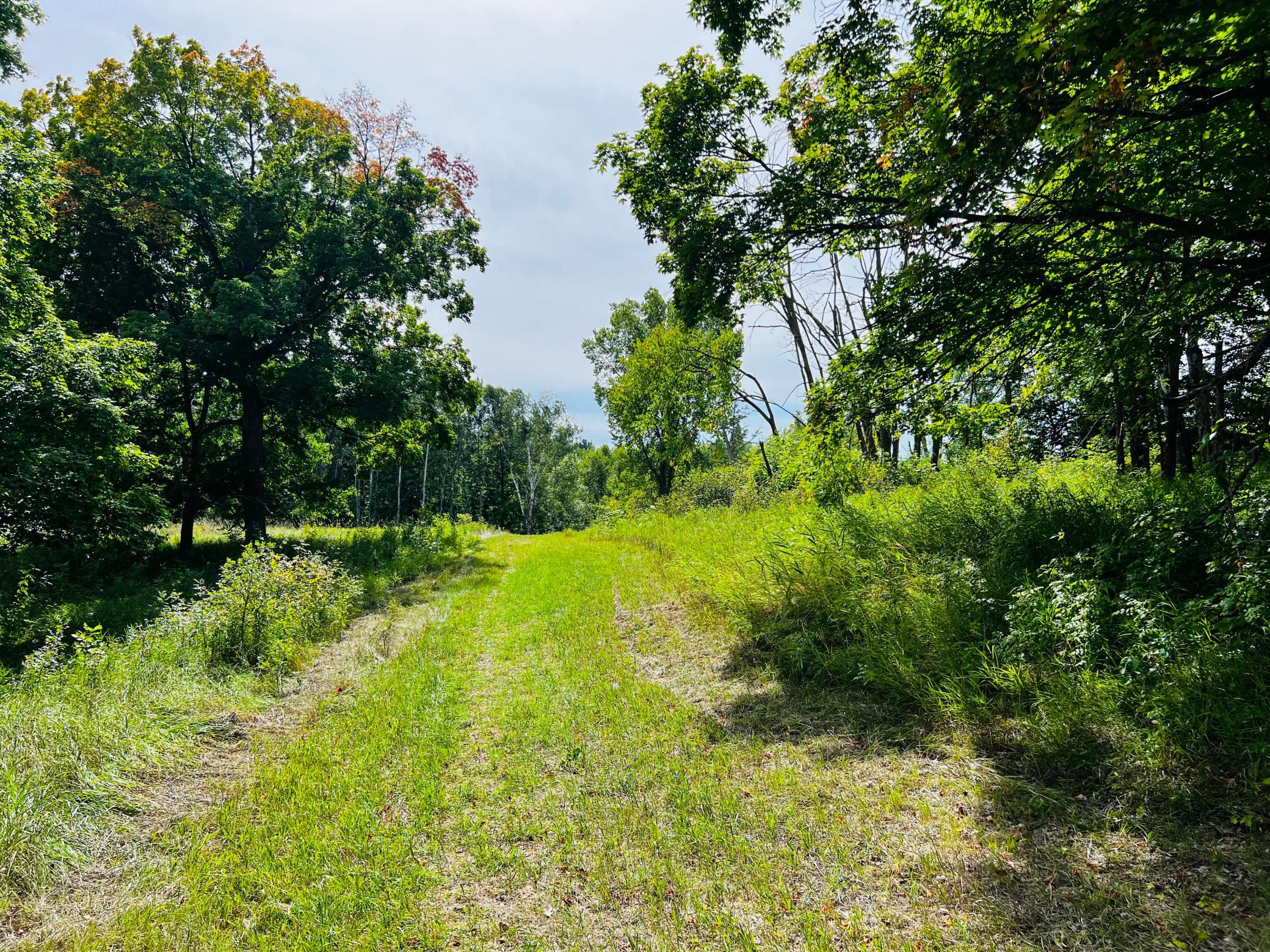 land for sale at TBD CO HWY 27 in Rochert, MN (photo 23 of 34)